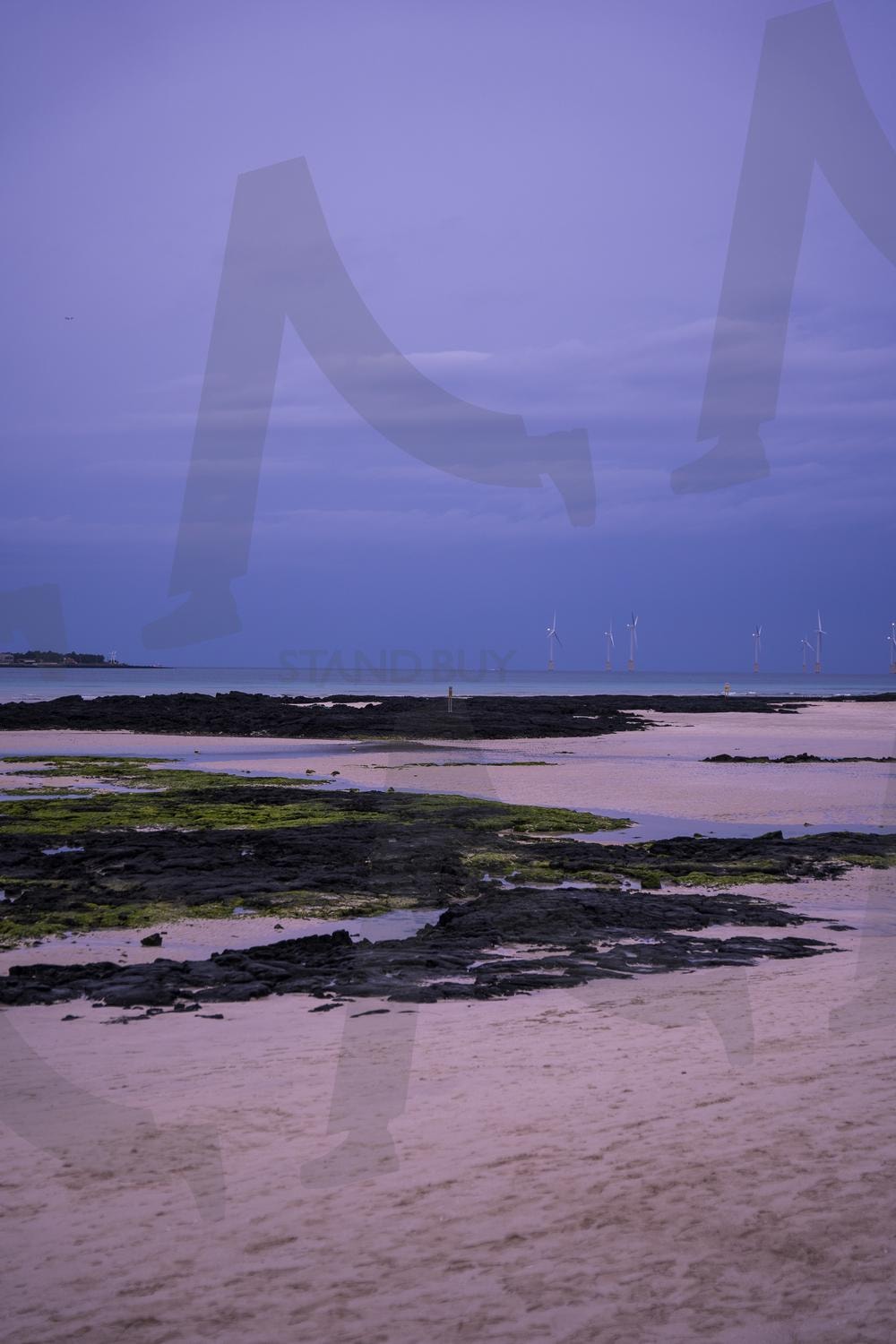 금능해수욕장 | 금능해수욕장, 제주도, 제주, 제주해변, 바다 | 스탠바이 STANDBUY 디지털 콘텐츠