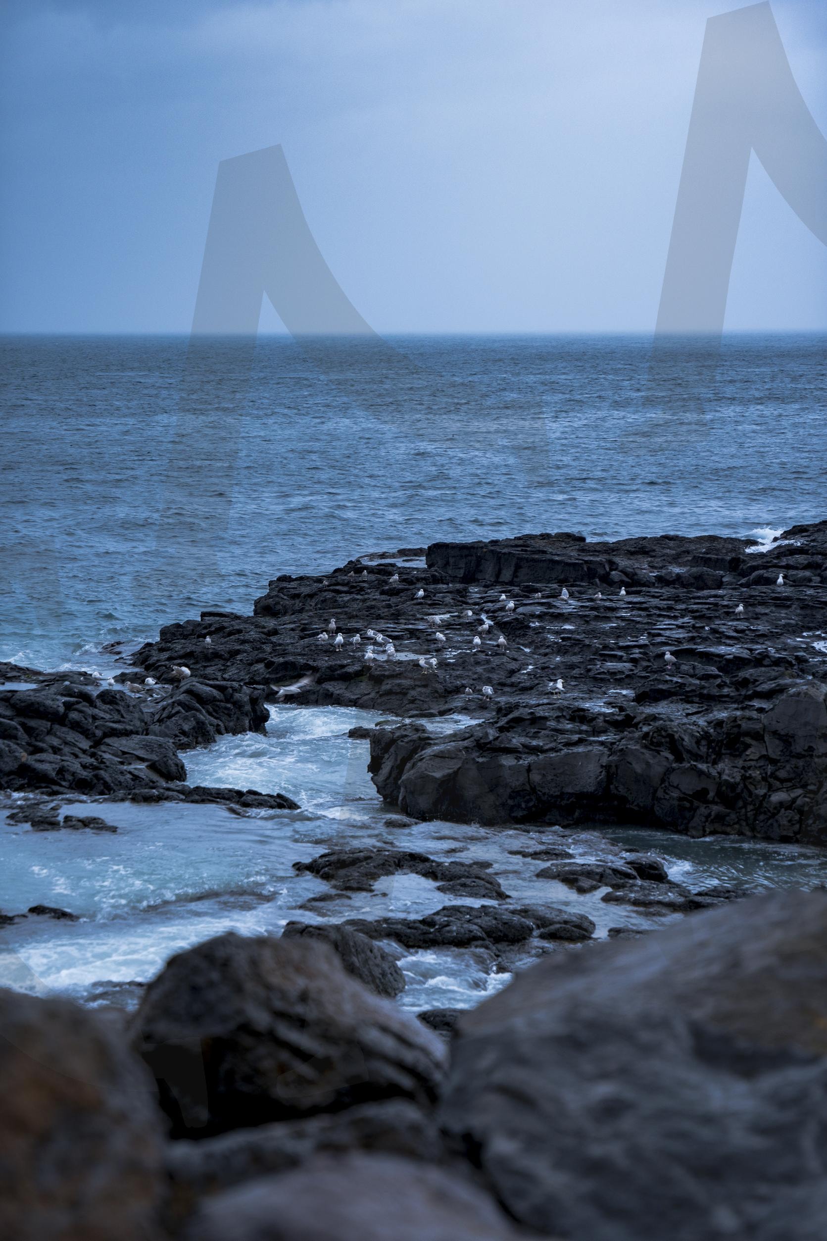 도구리알 | 도구리알, 제주, 제주도, 바다, 여행, 해변 | 스탠바이 STANDBUY 디지털 콘텐츠