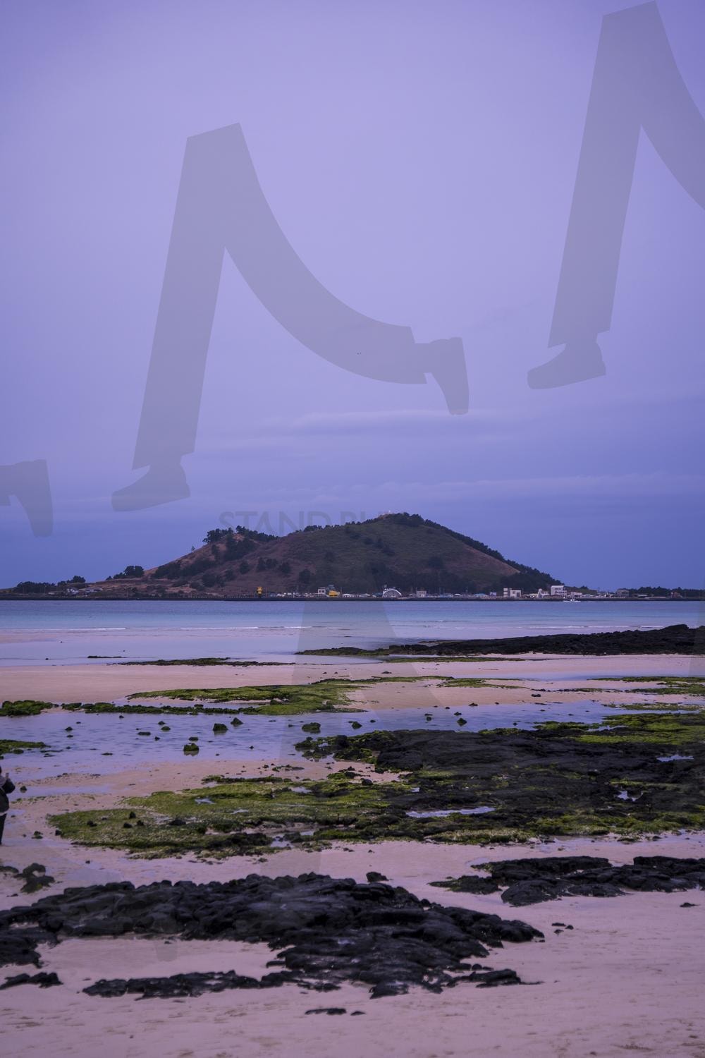 금능해수욕장 | 금능해수욕장, 제주, 제주도, 해변, 제주바다 | 스탠바이 STANDBUY 디지털 콘텐츠