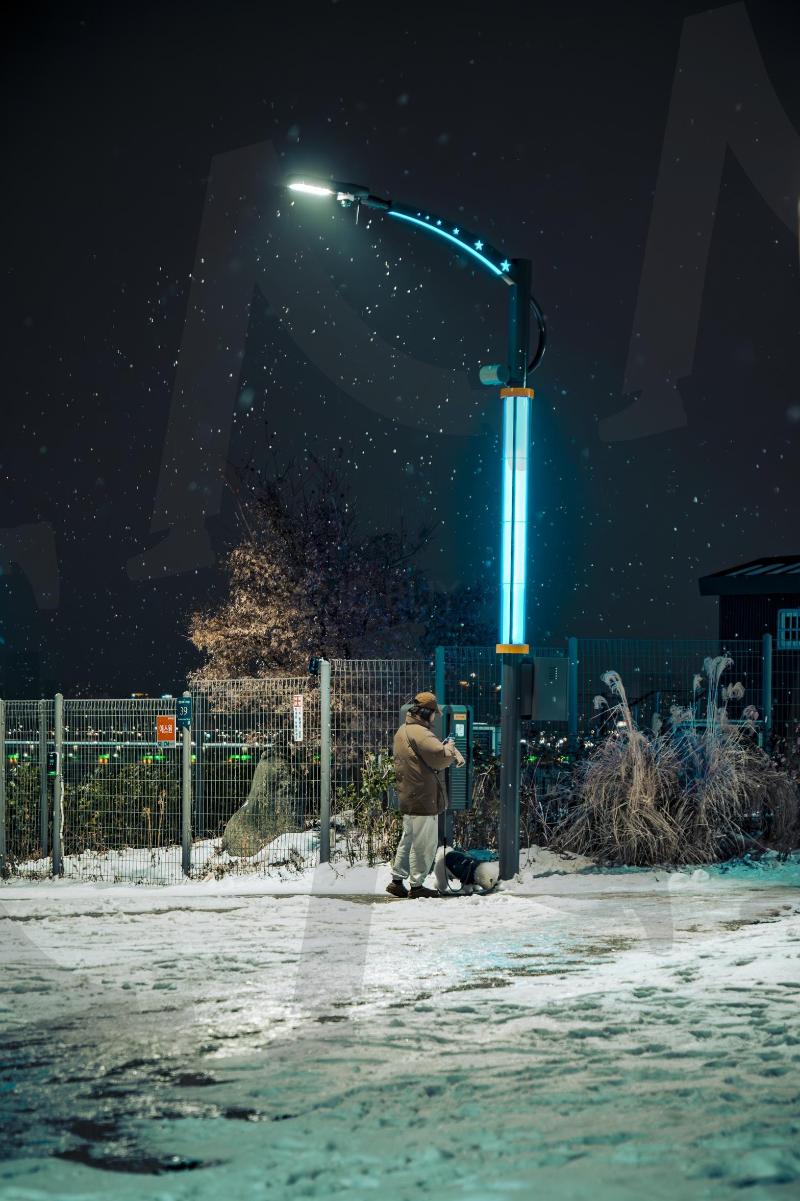 삼성해맞이공원 | 삼성해맞이공원, 서울, 야경, 명소, 여행, 가로등 | 스탠바이 STANDBUY 디지털 콘텐츠