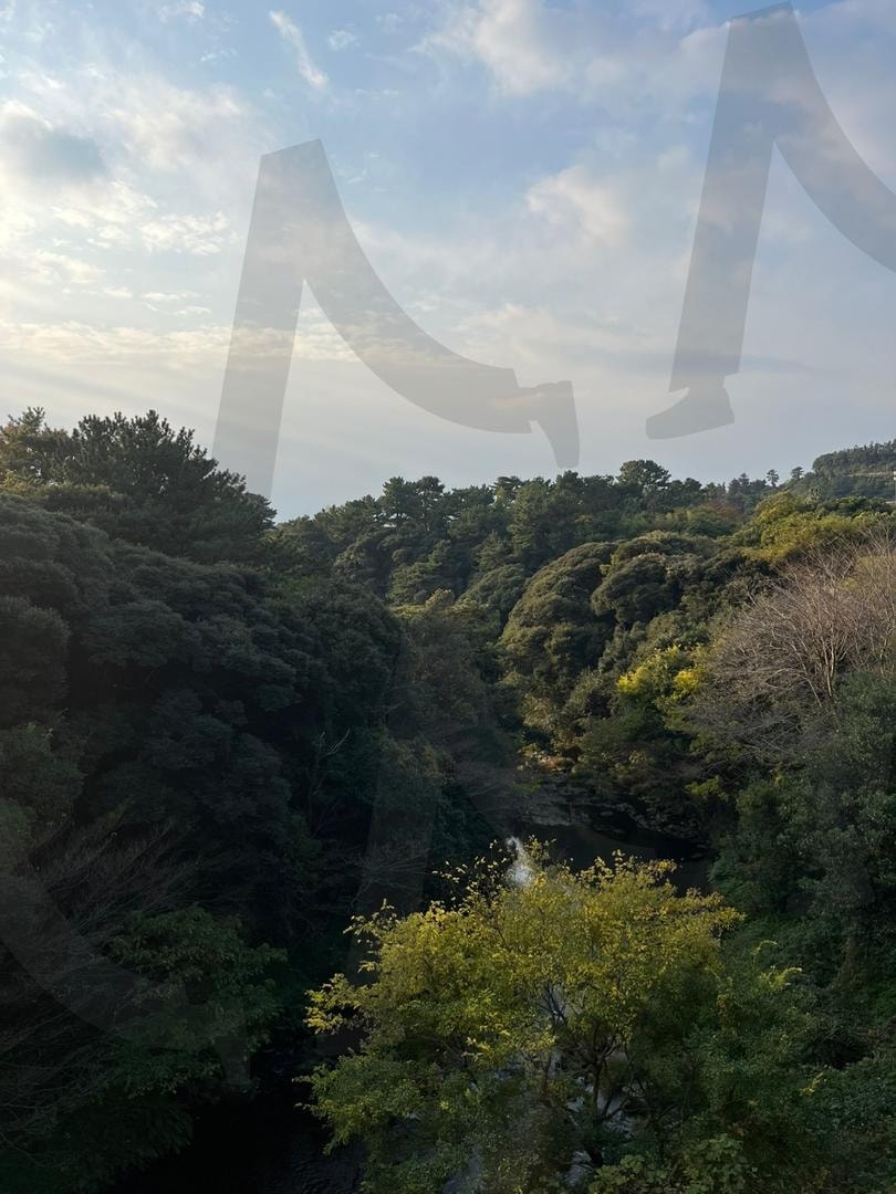 숲과 인생,하늘 | 숨, 인생, 하늘, 고됨, 성공, 실패, 힐링 | 스탠바이 STANDBUY 디지털 콘텐츠