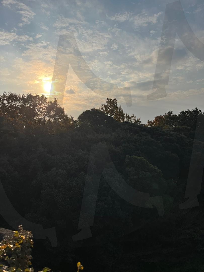 상쾌한 아침 | 상쾌한, 아침, 행복한, 희망, 꿈, 낭만 | 스탠바이 STANDBUY 디지털 콘텐츠