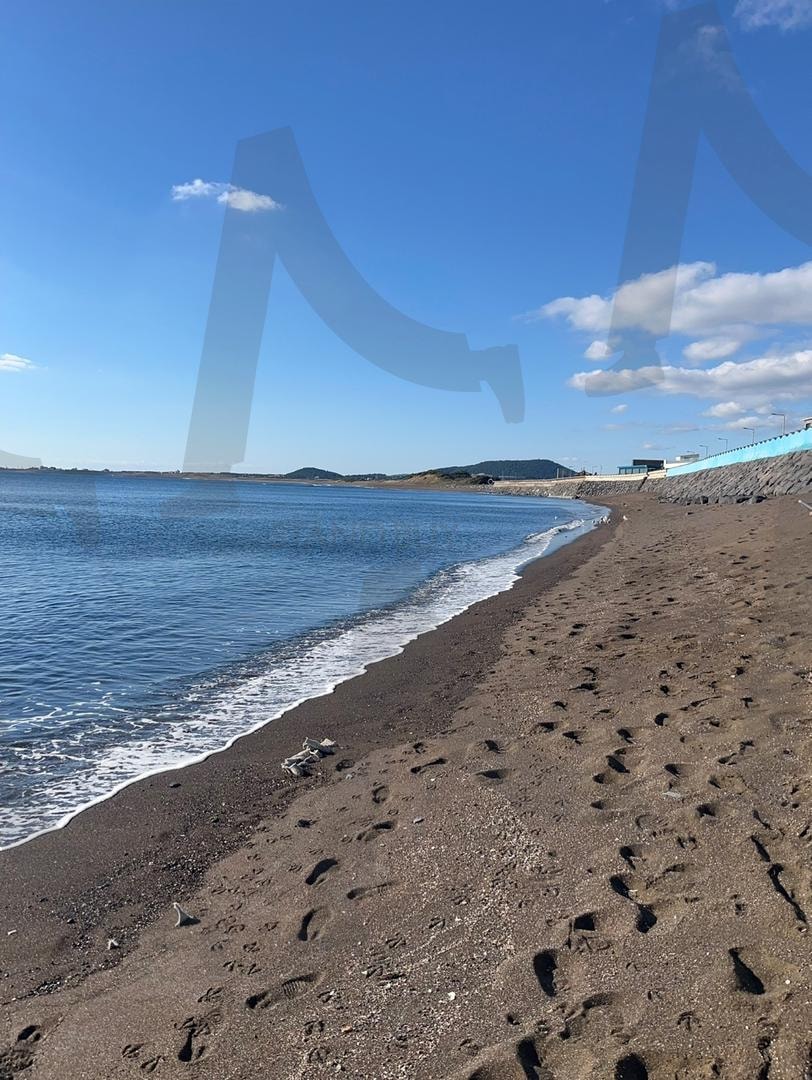 그들의 발자취 | 발자취, 아침, 산책, 제주도, 여행, 행복, 낭만 | 스탠바이 STANDBUY 디지털 콘텐츠