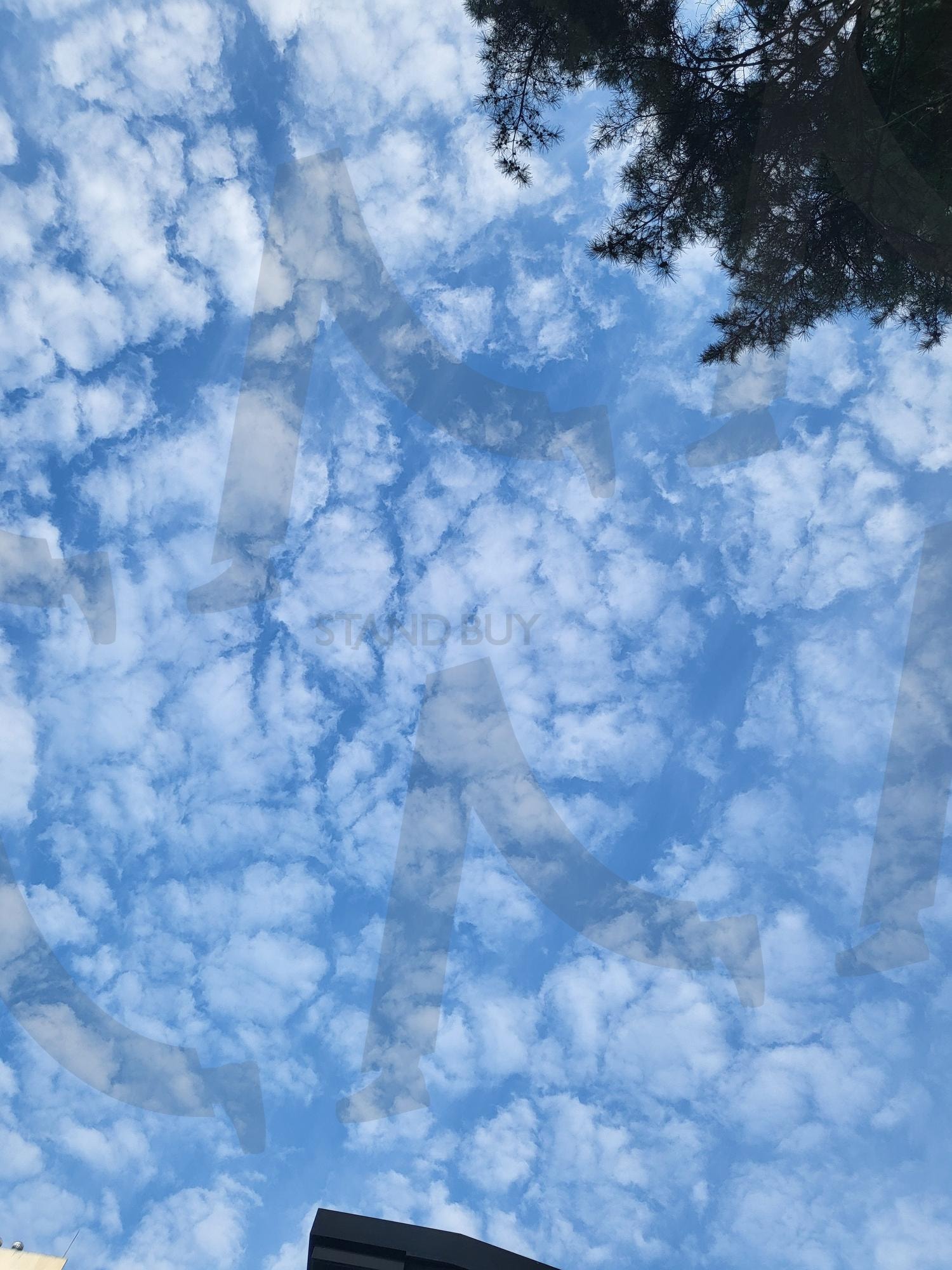 양떼구름 (Cloud of sheep) | cloud, light blue, clear, sky, 하늘, 하늘색, 맑은, 구름, 한국, korea | 스탠바이 STANDBUY 디지털 콘텐츠