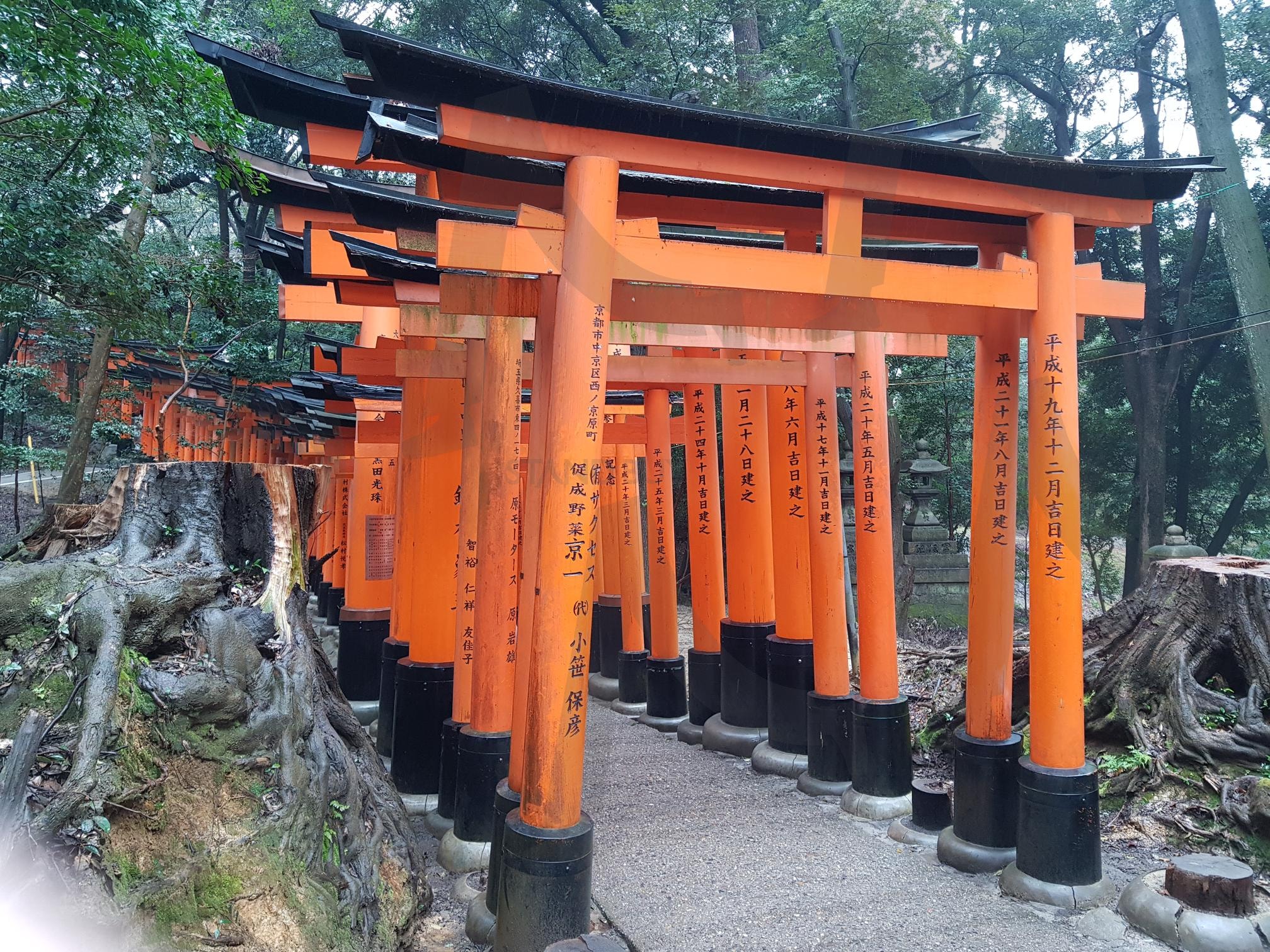 일본 교토 후시미 이나리 신사 (2019) | 일본, 후시미이나리신사, 후시미이나리, 이나리신사, 이나리, 일본신사, 일본여행, 교토근교여행, 교토 | 스탠바이 STANDBUY 디지털 콘텐츠