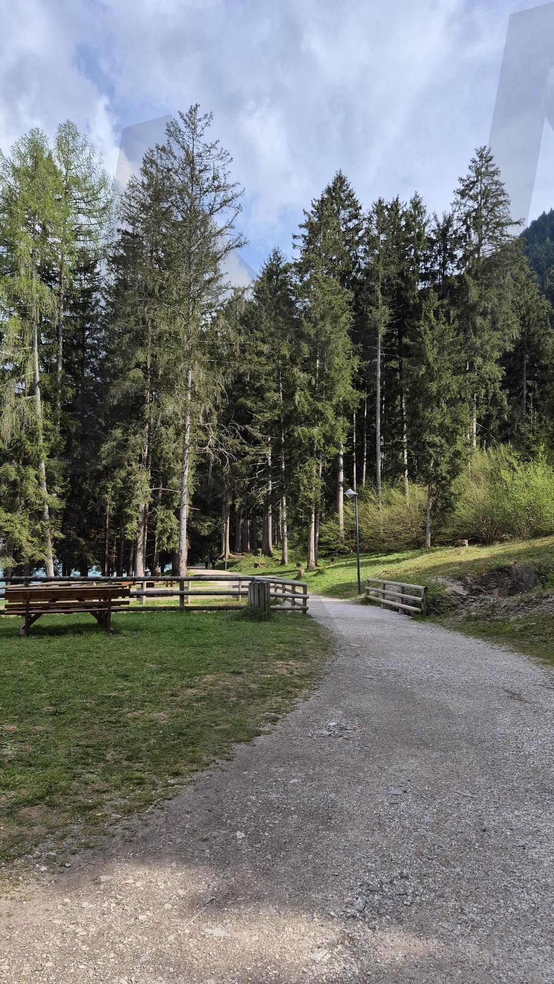 초록초록한 길 | 풍경, 나무, 산책, Green, 초록, 하늘 | 스탠바이 STANDBUY 디지털 콘텐츠