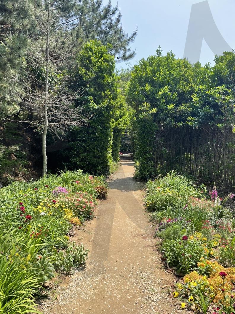 낮시간의 숲속 산책로(a day-time forest trail) | 낮, 푸른, 숲속, day, blue, forest | 스탠바이 STANDBUY 디지털 콘텐츠