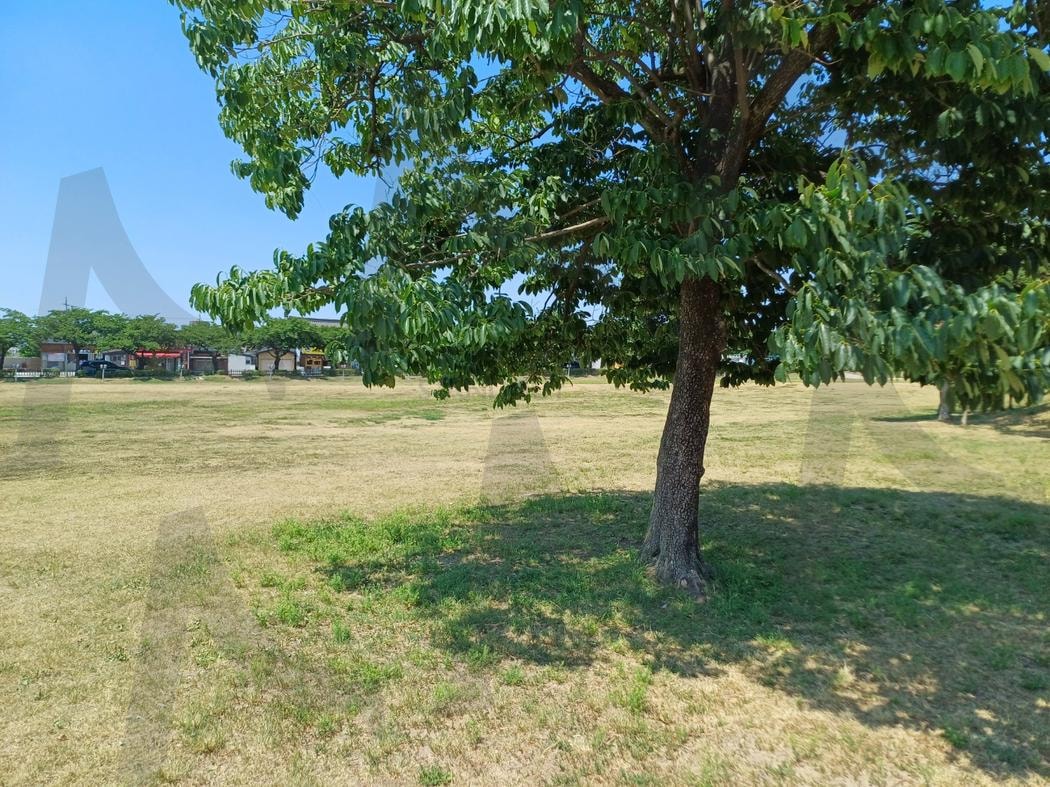 한적한 산책로(a quiet walk) | 따뜻한, 한적한, 오후, warm, secluded, afternoon | 스탠바이 STANDBUY 디지털 콘텐츠