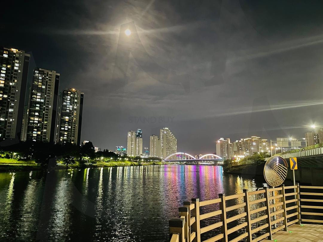 밝은 달의 산책로(a walk on the bright moon) | 밤, 산책로, 달, night, Walk, and moon | 스탠바이 STANDBUY 디지털 콘텐츠