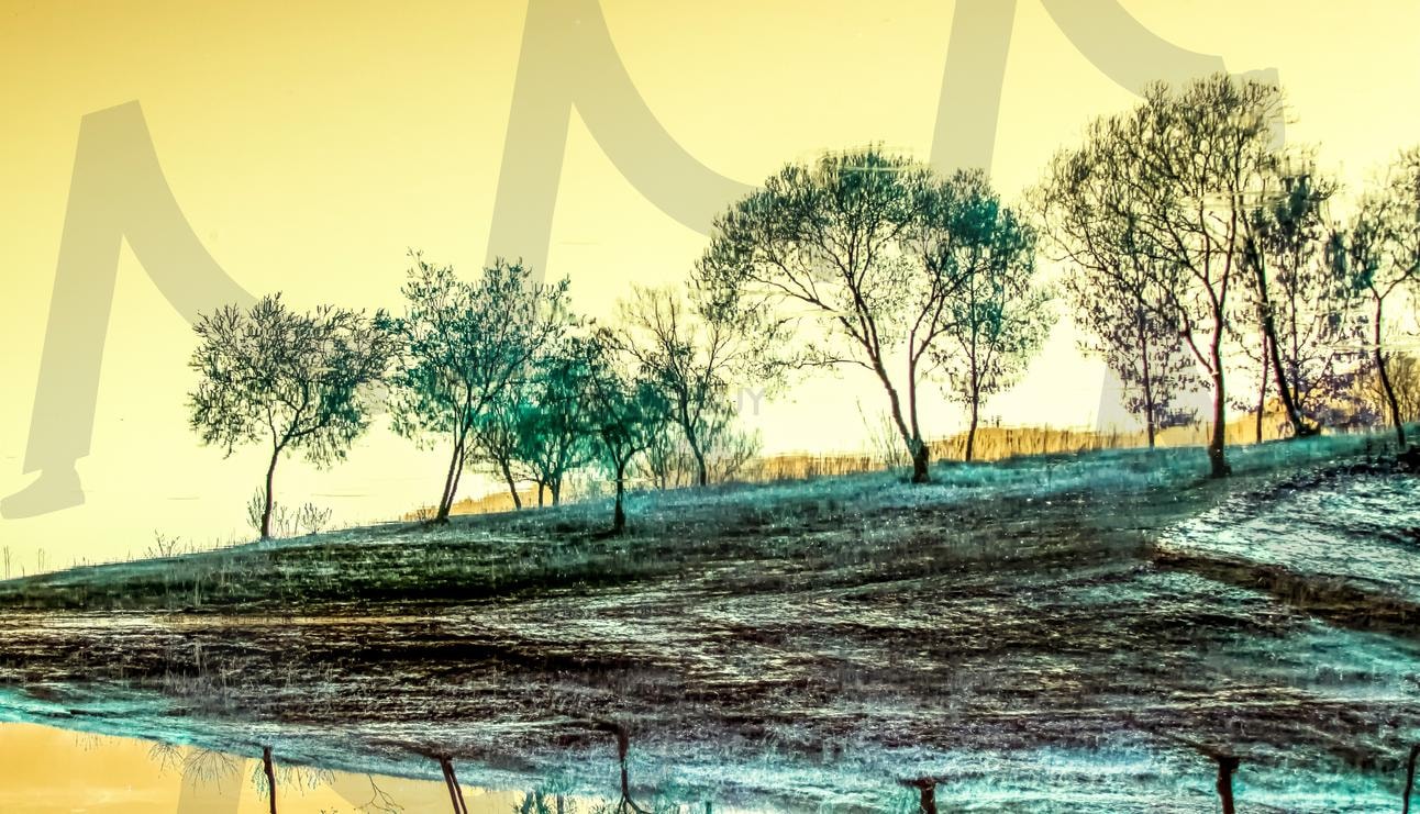 뒤집힌 현실, 거울 속 풍경 | 착시, 풍경, 거울, 환상, 초현실, 비현실적, 거울반사, 자연, 나무 | 스탠바이 STANDBUY 디지털 콘텐츠