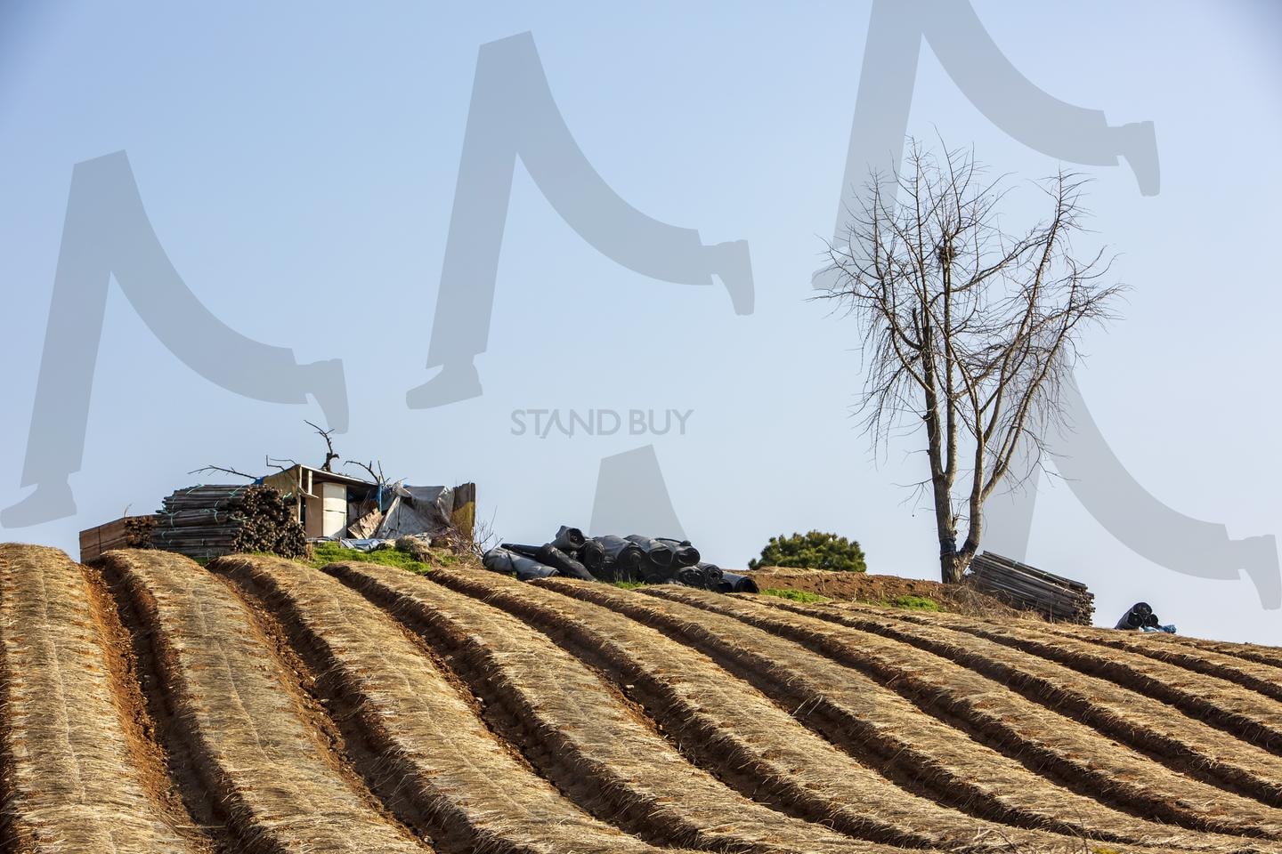 전원풍경 | 예당 저수지 밭, 충남 예당 저수지, 예당 저수지 농업, 질서정연한 밭, 충남 농업 풍경, 예당 저수지 근처 밭, 예당 저수지 작물, 정갈한 농장, 예당 저수지 농사, 농업 관리 | 스탠바이 STANDBUY 디지털 콘텐츠