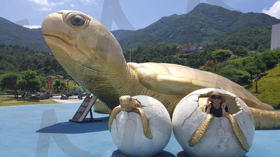 거북이 가족 | 산청, 동의보감, 건강, 장수, 거북이, 지리삭국립공원 | 스탠바이 STANDBUY 디지털 콘텐츠