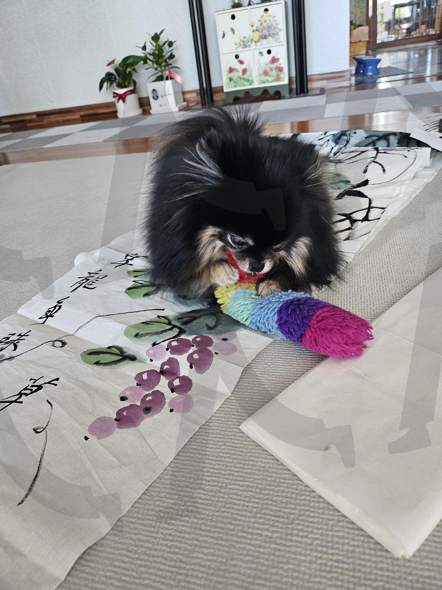 주인 취미를 즐기는 강아지 | 강아지, 휴식, 서예, 취미, 가족 | 스탠바이 STANDBUY 디지털 콘텐츠