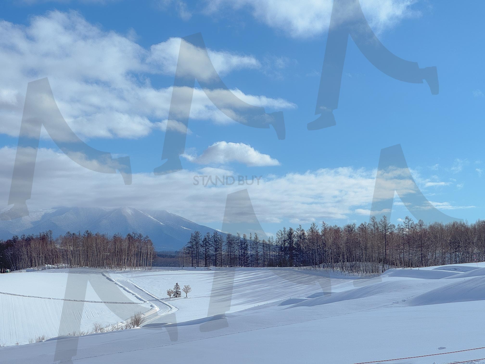 사계채의 언덕 | 일본, 북해도, 홋카이도, 비에이, 사계채의 언덕, 겨울, 눈, 눈썰매, Japan, hokkaido, biei, snow, 여행, 풍경 | 스탠바이 STANDBUY 디지털 콘텐츠