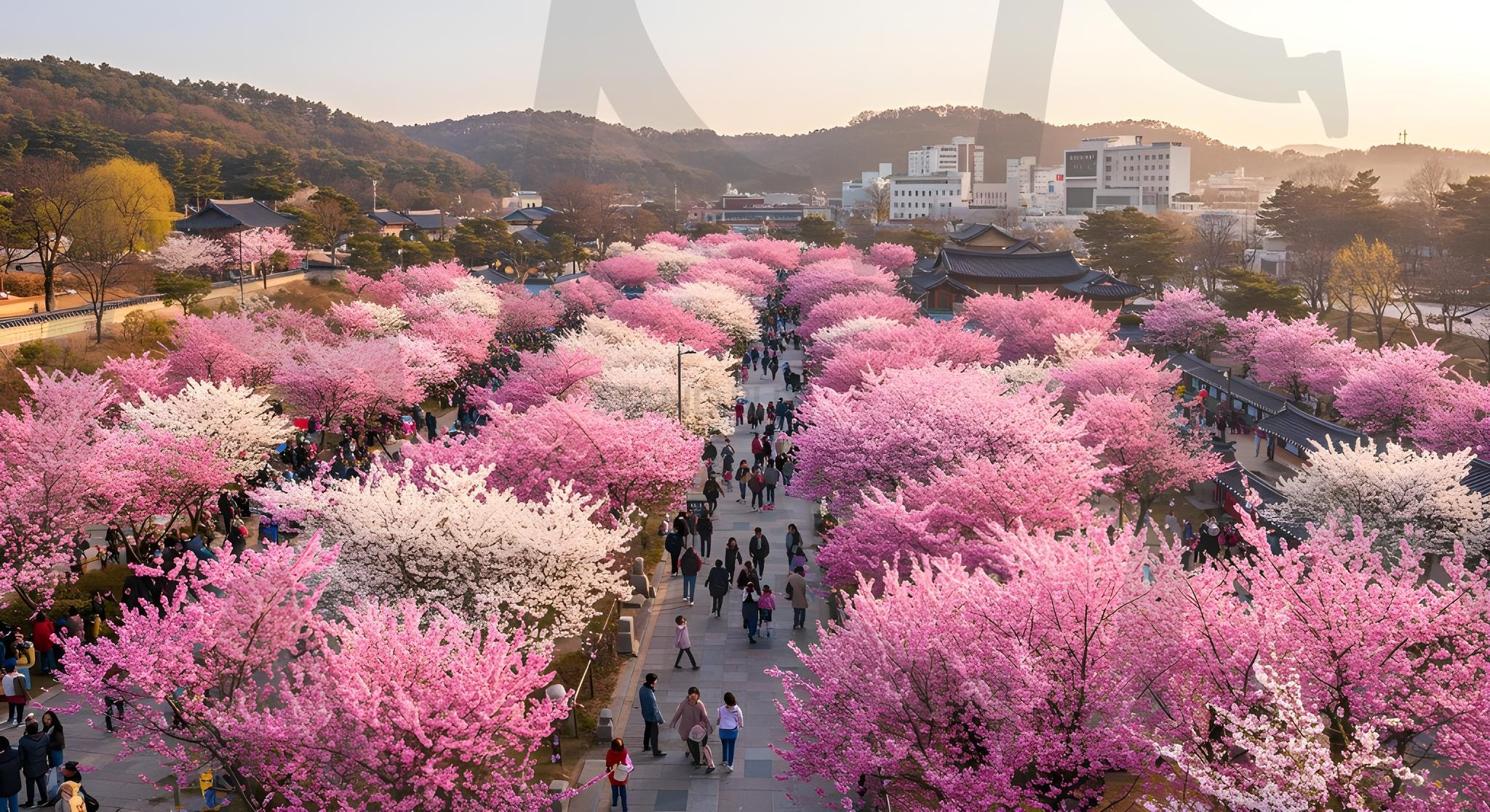 벚꽃축제 | 경치, 자연, 한국, 벚꽃축제, 나무, 하늘, 꽃, 호수, 숲, 여름, 녹색, 단풍, 산, 봄, 잔디, 분홍색, 축제, ai | 스탠바이 STANDBUY 디지털 콘텐츠