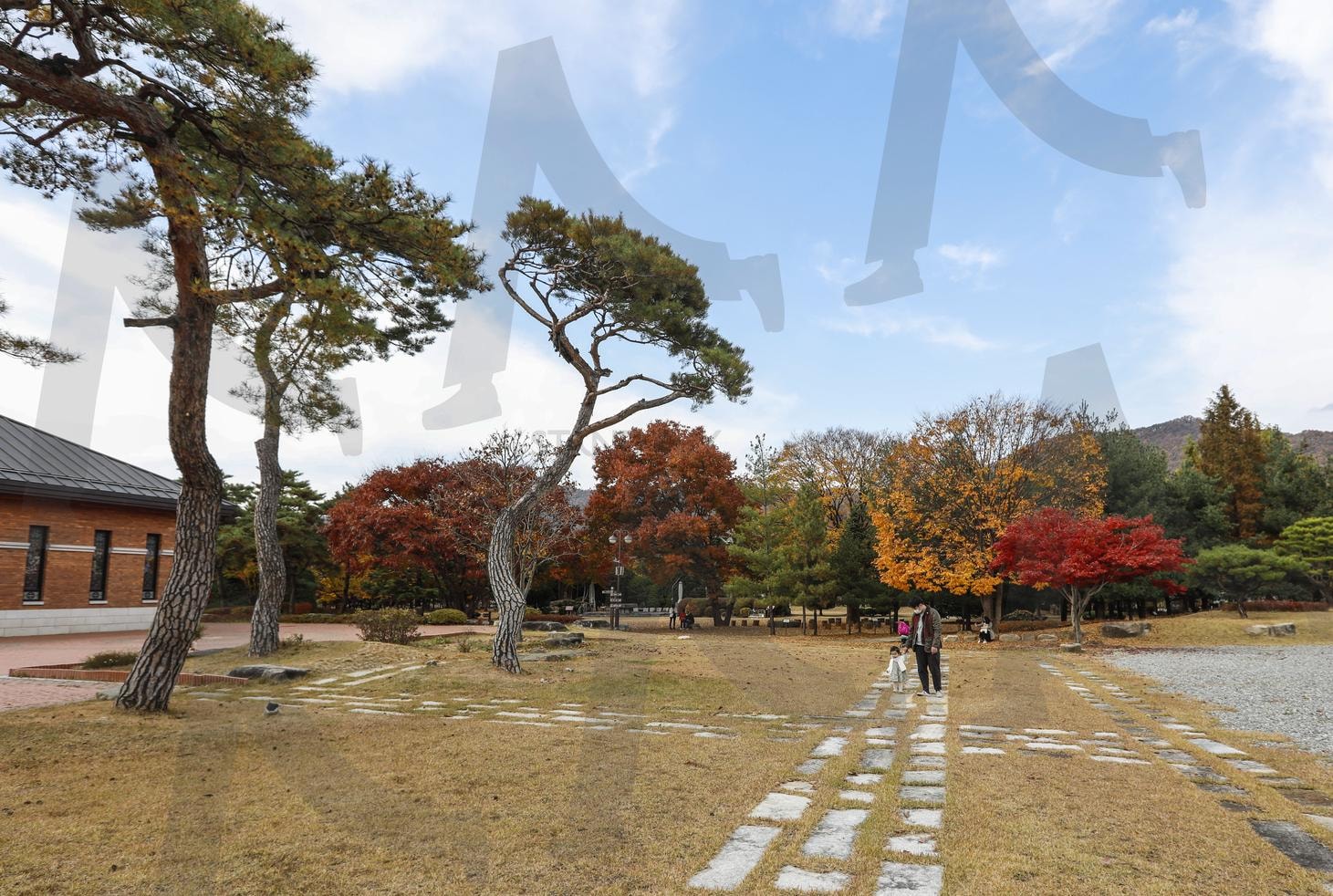 영풍성지의 정겨운 풍경, 자연 속 부녀의 걸음 | 영풍성지, 공원 풍경, 서정적 장면, 부녀의 산책, 자연 속 정원, 소나무, 감성 사진, 힐링 여행지, 따뜻한 순간, 가족 사진 | 스탠바이 STANDBUY 디지털 콘텐츠