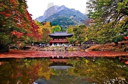 가을단풍과 어우러진 백양사 | 단풍, 울긋불긋, 백양사, 호수, 그림자, 풍경 | 스탠바이 STANDBUY 디지털 콘텐츠