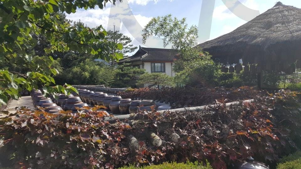 정겨운 풍경 | 담장, 항아리, 시골풍경, 정겨움, 맑은 공기 | 스탠바이 STANDBUY 디지털 콘텐츠