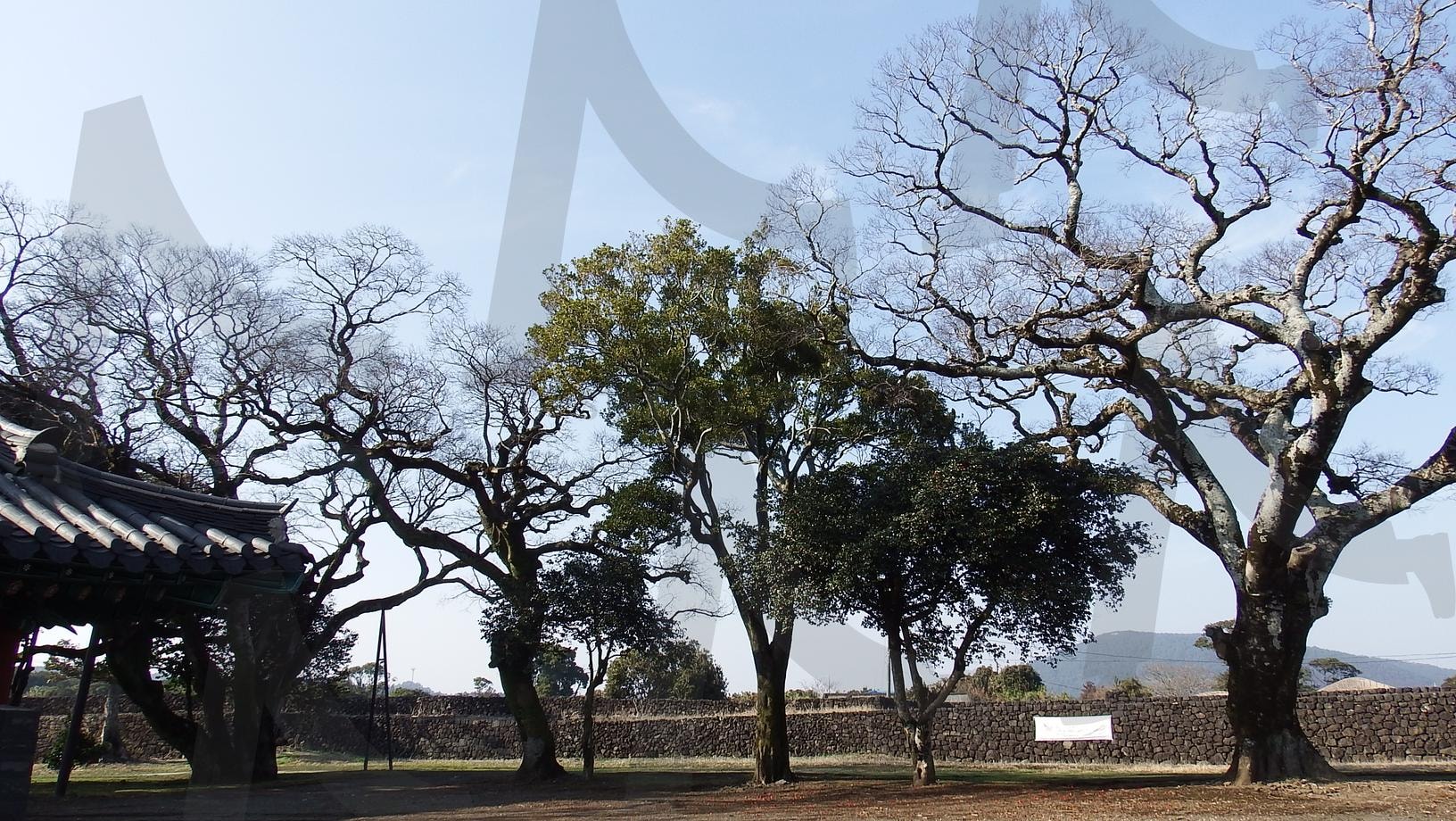 성읍민속마을 | 향교, 성읍민속마을, 향교정원, 제주옛날건물, 풍경 | 스탠바이 STANDBUY 디지털 콘텐츠