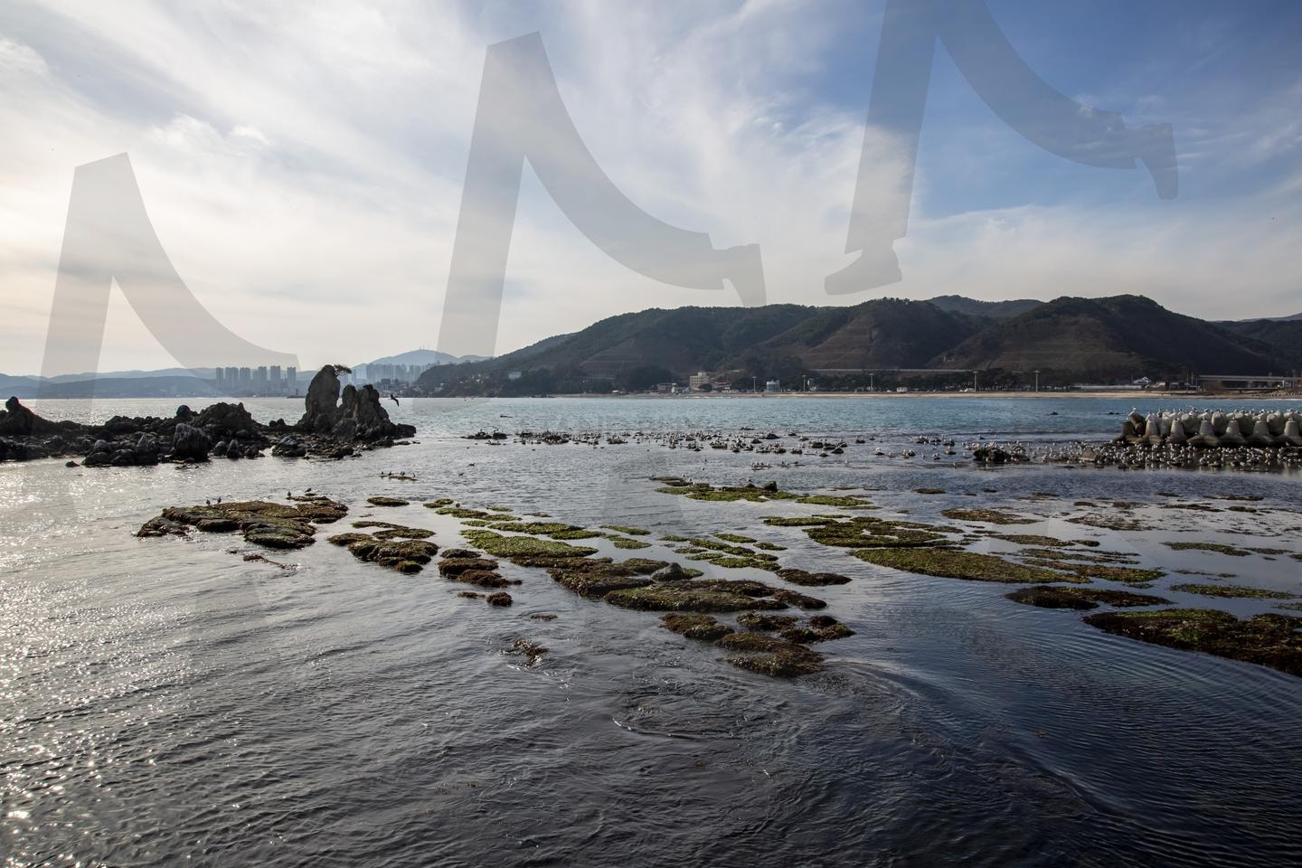 겨울 바다가 그리는 해안 풍경 | 해안가, 기암괴석, 바다풍경, 이끼바위, 산줄기, 겨울바다, 도시전경, 자연풍경, 해안선, 바다반영 | 스탠바이 STANDBUY 디지털 콘텐츠