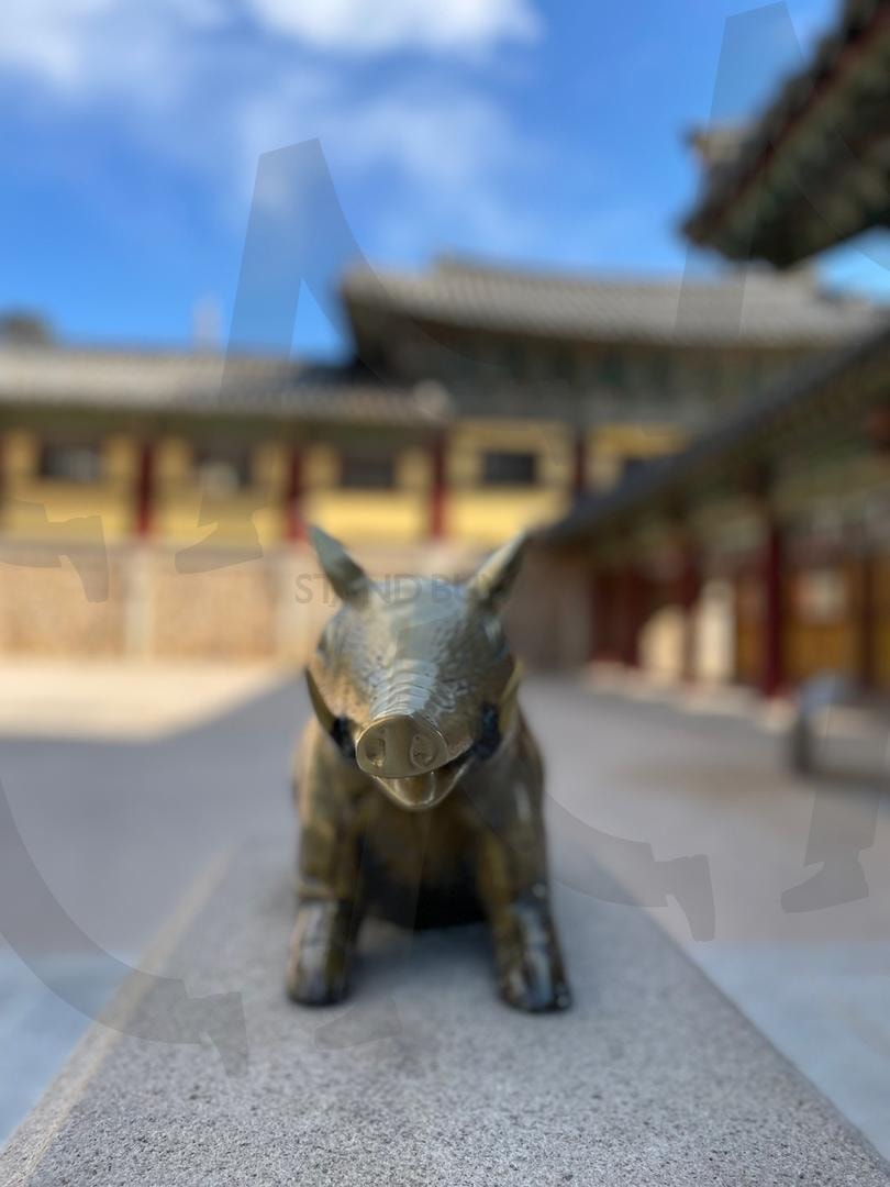 복을 가져다 주는 돼지조각상(a statue of a pig that brings good fortune) | 돼지, 조각상, 복, Blessings, pigs, Statues | 스탠바이 STANDBUY 디지털 콘텐츠