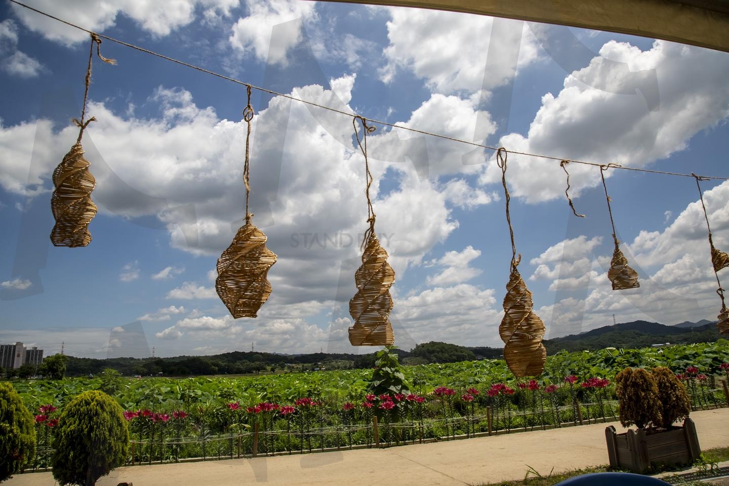 자연과 예술의 조화 | 자연, 예술, 조형물, 풍경, 농경지, 꽃, 하늘, 구름, 평화, 아름다움 | 스탠바이 STANDBUY 디지털 콘텐츠