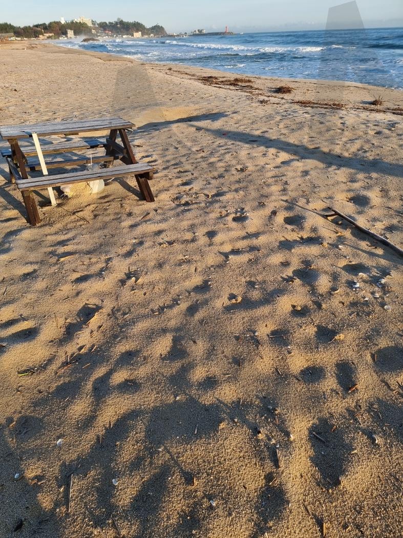 겨울바다 풍경 | 겨울, 바다, 모래, 추억, 휴식, 바람, 파도 | 스탠바이 STANDBUY 디지털 콘텐츠