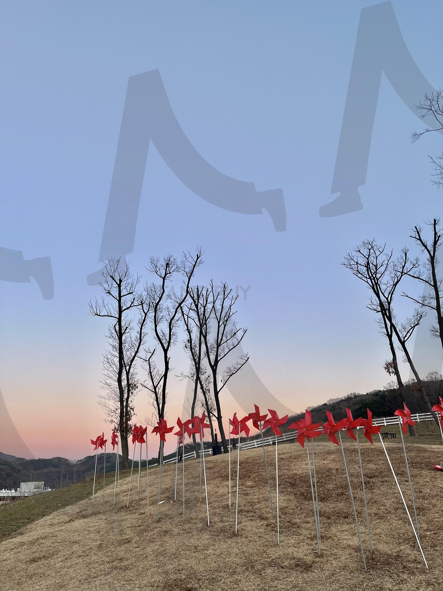충북 증평 벨포레목장 | 충청북도여행, 충북여행, 벨포레목장, 목장, 충북벨포레목장, 목장사진, 충북벨포레, 바람개비, 바람의언덕, 언덕, 노을, 저녁노을, 동산, 동산사진 | 스탠바이 STANDBUY 디지털 콘텐츠
