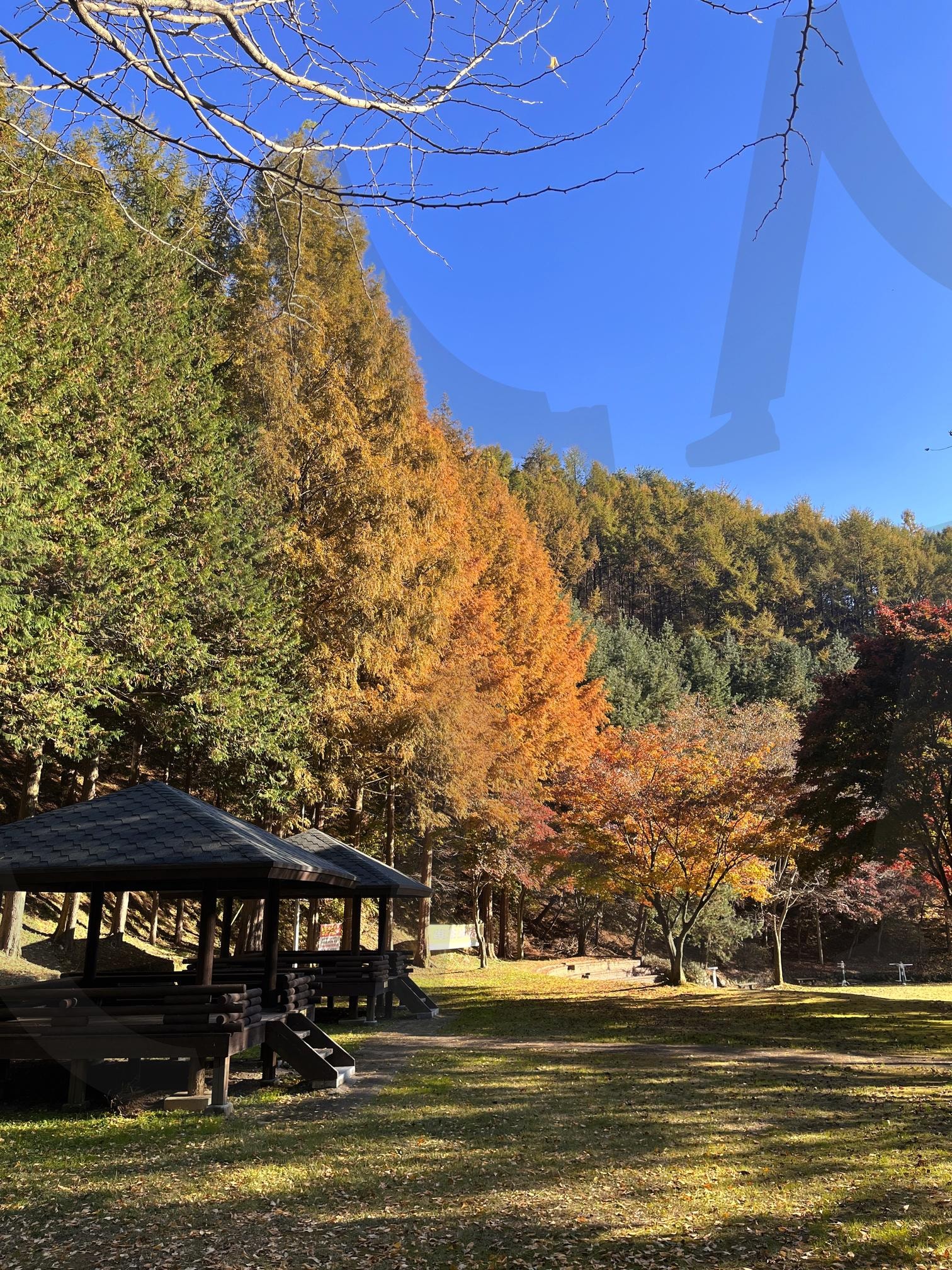 충청도 봉학골 산림욕장 가을사진 | 충청도, 충북여행, 충청도여행, 봉학골, 봉학골산림욕장, 가을사진, 풍경, 가을, 배경, 가을풍경, 낙엽, 단풍사진, 단풍, 들판, 충청도풍경, 산림욕장, 피크닉, 가을피크닉, 가을나들이 | 스탠바이 STANDBUY 디지털 콘텐츠