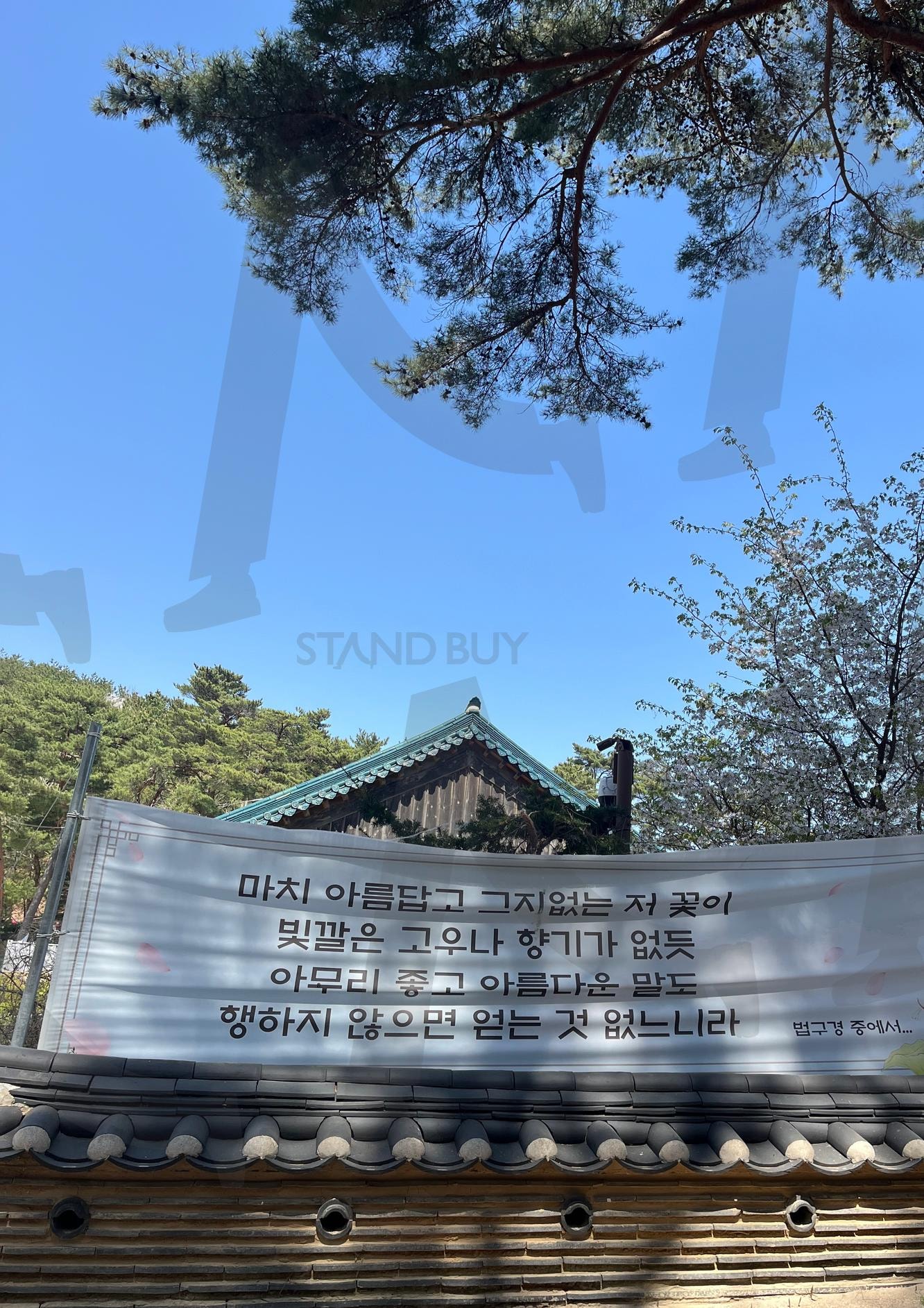 강원도 낙산사 | 강원도, 양양, 강원도양양, 강원도낙산사, 낙산사, 사찰, 절, 절사진, 절배경, 법구경, 동해, 강원도여행, 강원여행, 강원배경, 강원사진, 강원도사진, 양양여행, 템플스테이, 템플 | 스탠바이 STANDBUY 디지털 콘텐츠