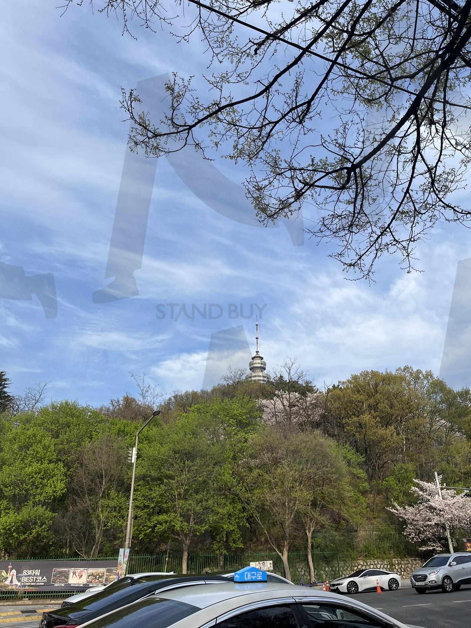 대구 달서구 | 대구, 대구달서구, 달서구, 대구여행, 대구나들이, 대구봄, 대구데이트, 대구83타워, 83타워, 대구타워, 대구광역시, 대구사진, 봄사진, 봄, 봄여행, 봄거리, 대구이월드, 두류, 도로, 대구도로 | 스탠바이 STANDBUY 디지털 콘텐츠
