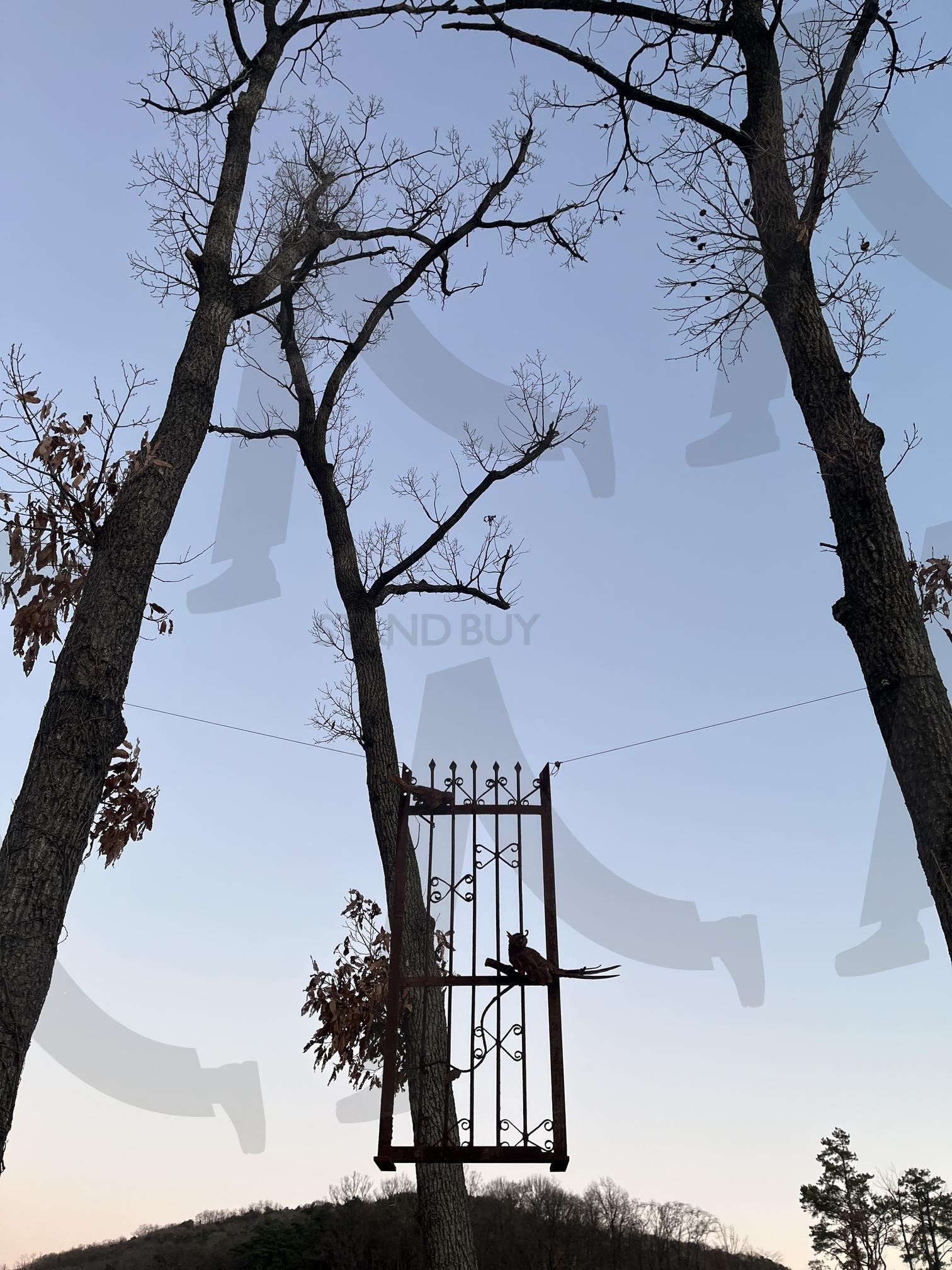 충청북도 증평군 벨포레목장 | 언덕, 그림자, 벨포레, 충북여행, 충청북도, 충북벨포레리조트, 벨포레목장, 충북벨포레, 목장사진, 목장, 새, 풍경, 배경, 언덕배경, 언덕사진, 해질녘, 해질녘사진, 조형물, 저녁노을 | 스탠바이 STANDBUY 디지털 콘텐츠