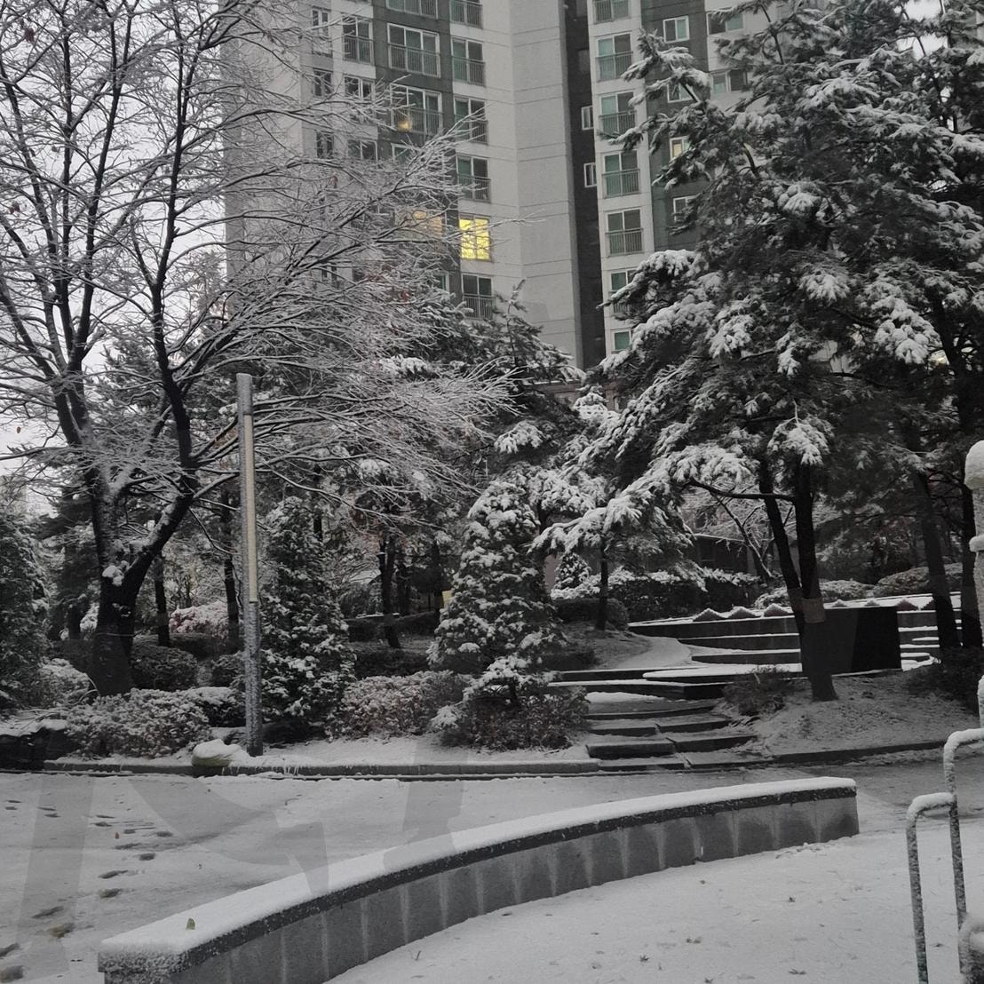 When you leave the house, the Kingdom of Snow? | 겨울, 눈, 폭설, 아파트, 동네, 감성, 겨울철, 11월, 12월, 아침, 출근길, 등교길 | 스탠바이 STANDBUY 디지털 콘텐츠