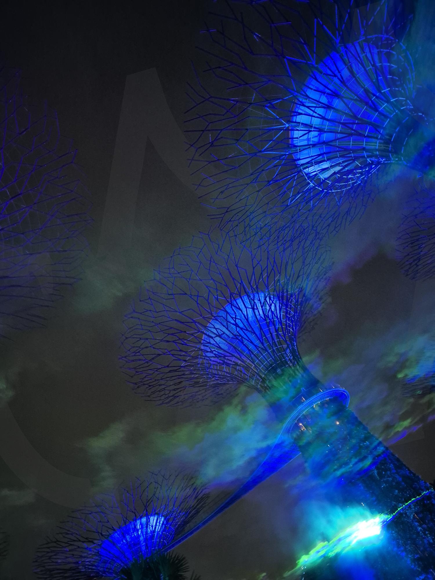 오로라 | 싱가포르, 오로라, 가든스바이더베이, 여행, 야경, 나무, 숲, 조명 | 스탠바이 STANDBUY 디지털 콘텐츠