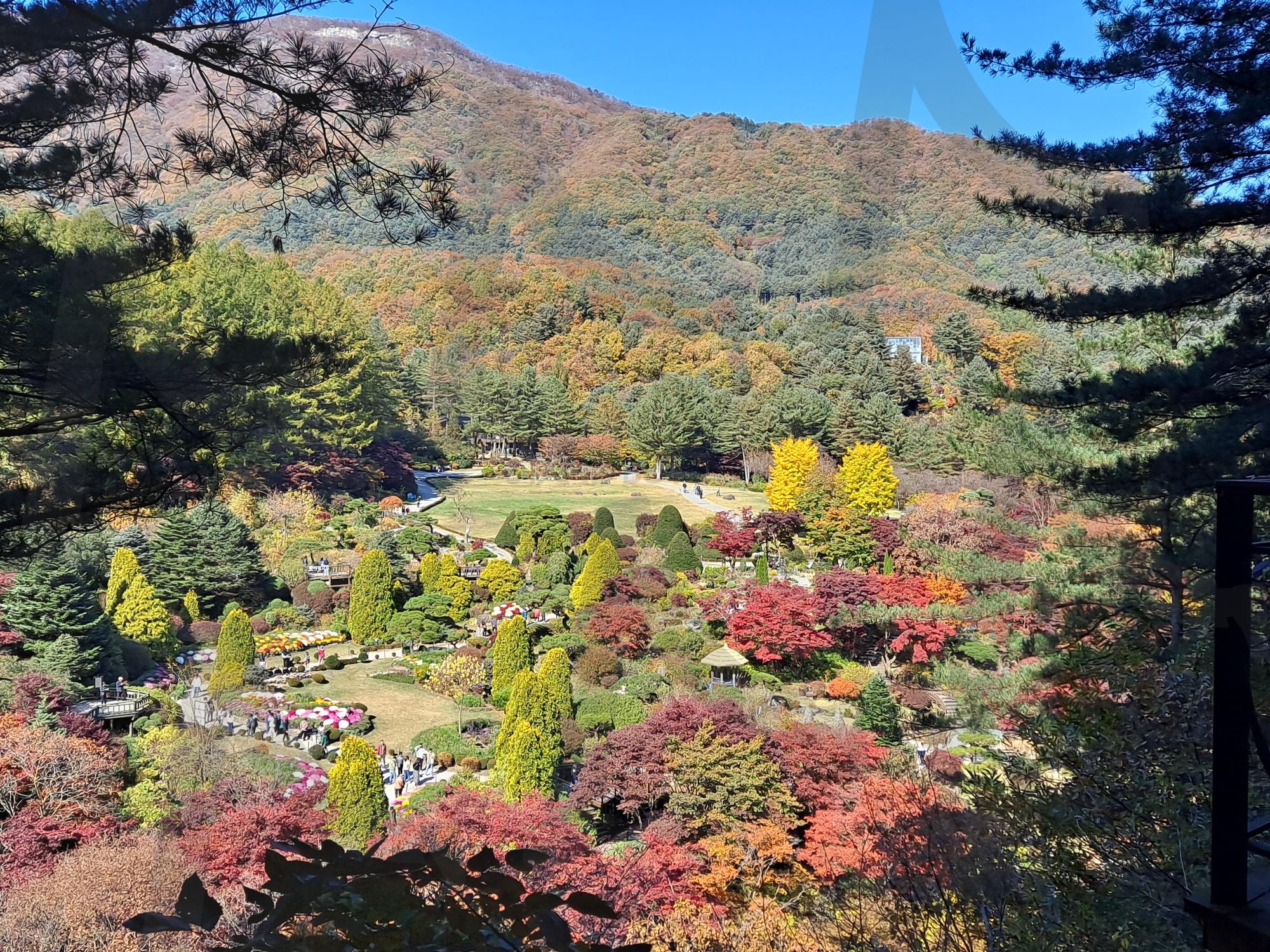 설레는 아침고요수목원 가을풍경 | 경기도, 가평, 아침고요수목원, 가을, 단풍, 드라이브코스 | 스탠바이 STANDBUY 디지털 콘텐츠