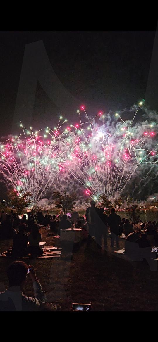 폭죽 | 폭죽, 예쁜, 멋진, 축제, 배경 | 스탠바이 STANDBUY 디지털 콘텐츠