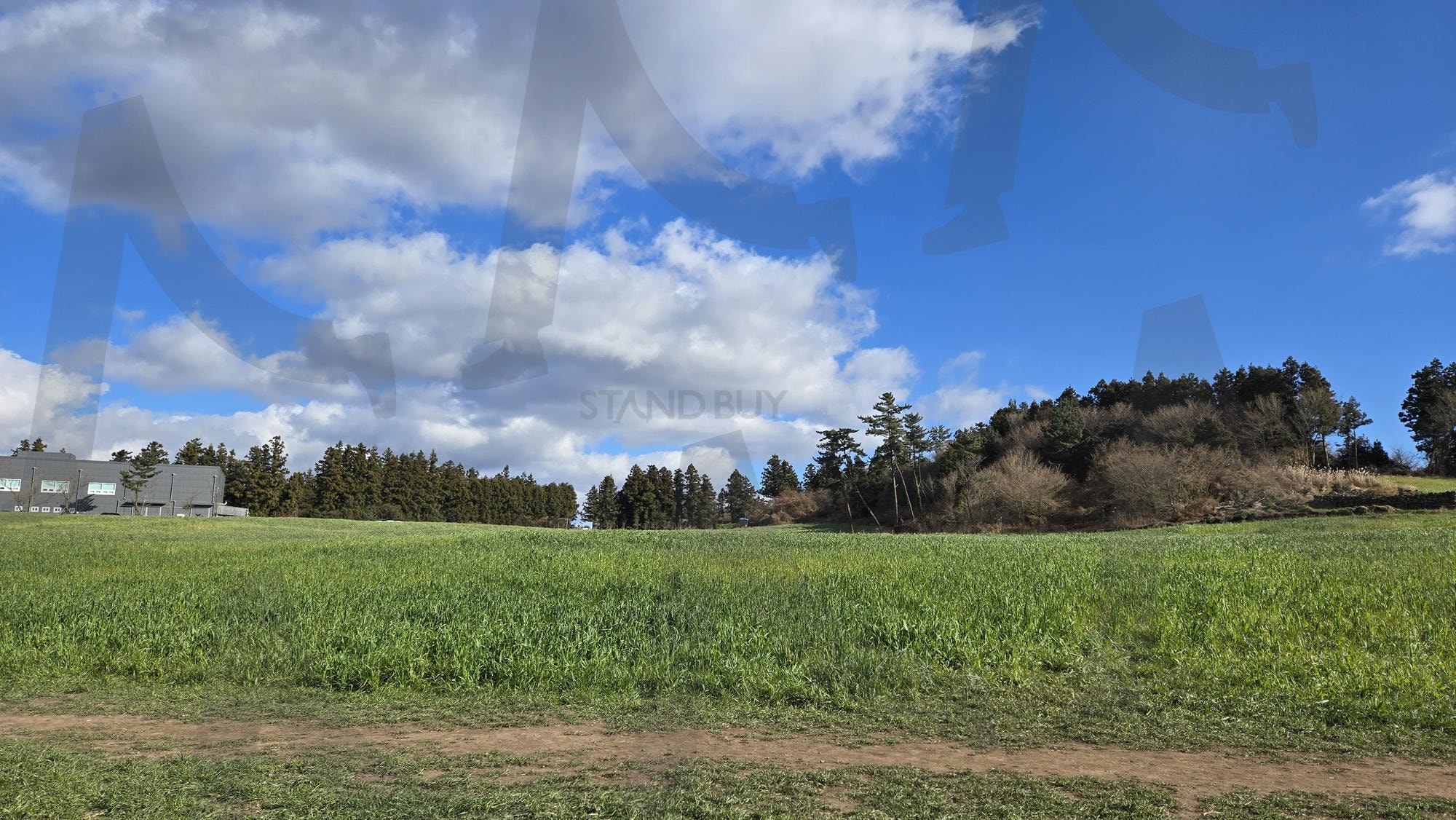 초원 | 초원, 제주도, 제주초원, 들판, 푸름, 푸르른, 풍경, 하늘 | 스탠바이 STANDBUY 디지털 콘텐츠