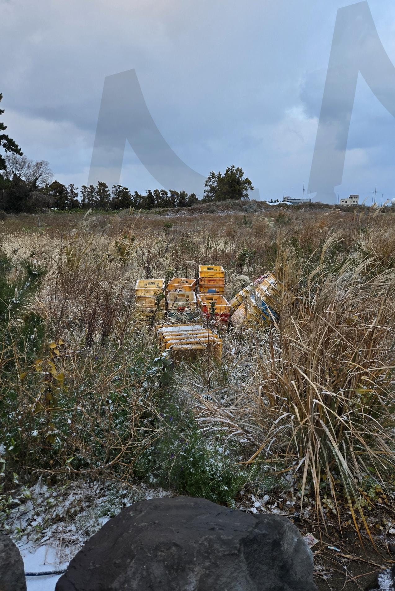 노란 박스들 | 노란박스, 길가에 버려진, 오렌지 박스, 귤통, 귤박스 | 스탠바이 STANDBUY 디지털 콘텐츠
