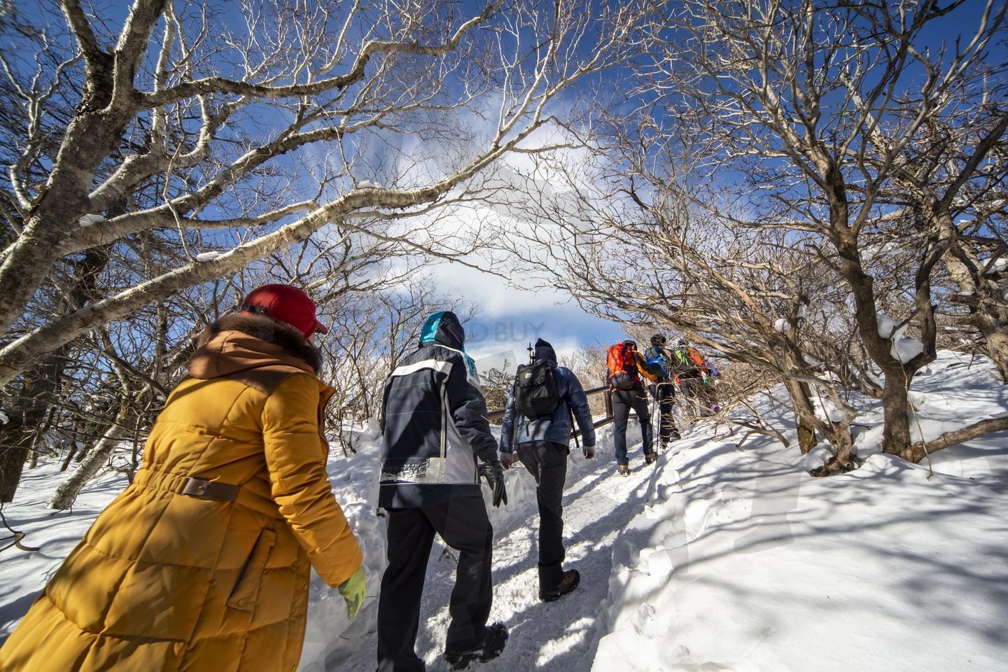 겨울 산행의 낭만: 덕유산 설경 트레킹 | 덕유산, 겨울산행, 설산트레킹, 겨울등산, 설경, 눈꽃산행, 덕유산국립공원, 겨울레포츠, 산악트레킹, 겨울여행 | 스탠바이 STANDBUY 디지털 콘텐츠