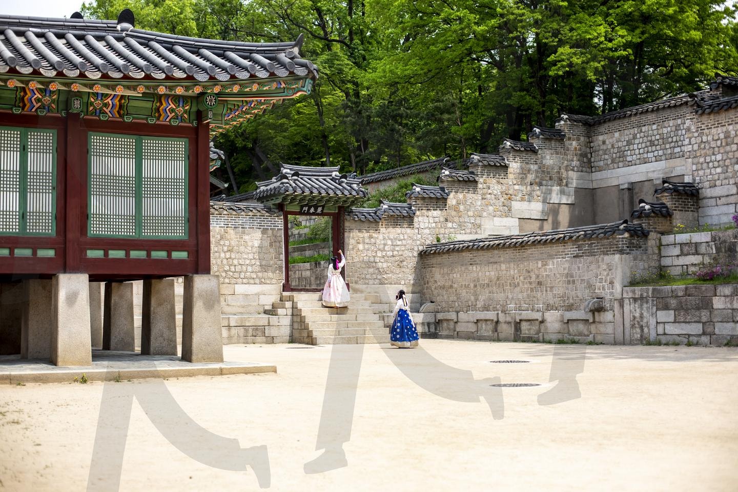 제목: "한복의 발걸음: 창경궁의 고즈넉한 오후 | 창경궁, 서울고궁, 한복체험, 전통건축, 궁궐여행, 문화유산, 단청, 한국전통, 고궁관광, 한복관광 | 스탠바이 STANDBUY 디지털 콘텐츠