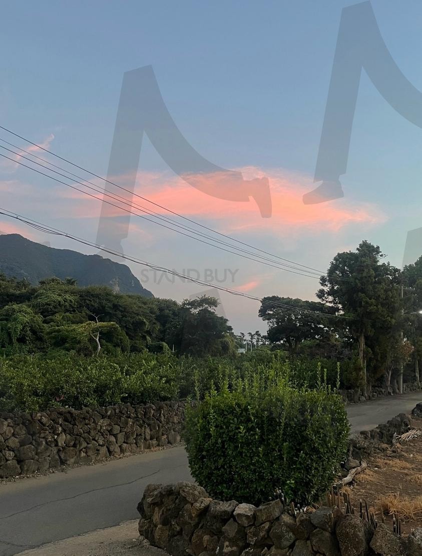 제주도 석양 | 제주도, 제주, 제주석양, 돌담, 돌담길, 제주도석양, 제주도풍경, 제주도노을, 제주도저녁, 제주저녁, 제주여행, 제주사진, 제주도사진, 제주배경, 석양배경, 석양, 노을 | 스탠바이 STANDBUY 디지털 콘텐츠