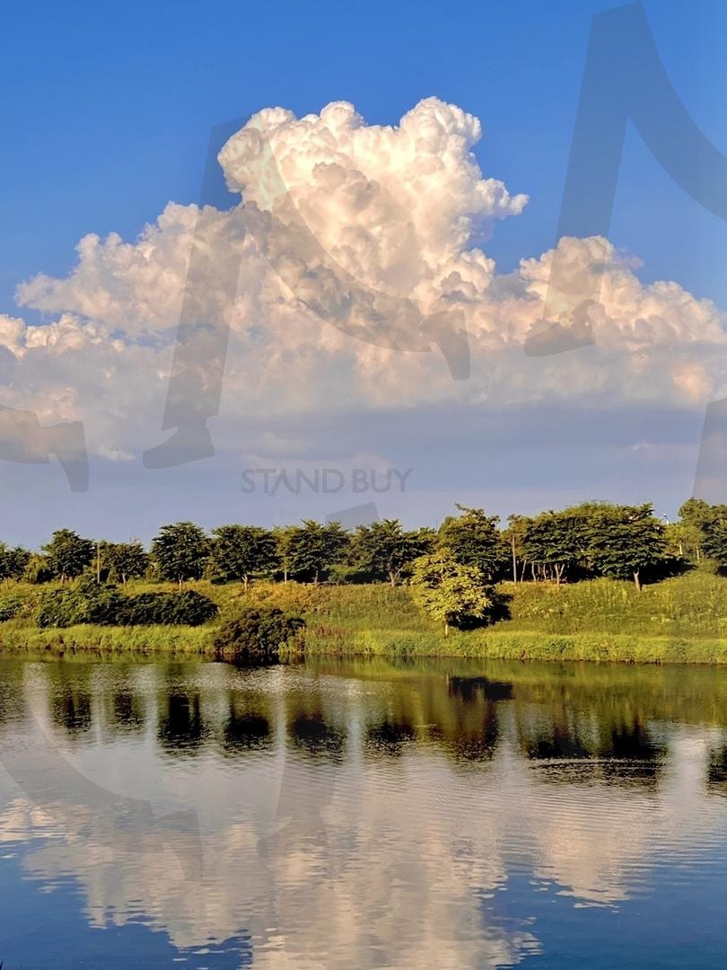 강에 비친 도시숲의 풍경 | 도시, 풍경, 나무, 강, 수면반사, 반영사진 | 스탠바이 STANDBUY 디지털 콘텐츠