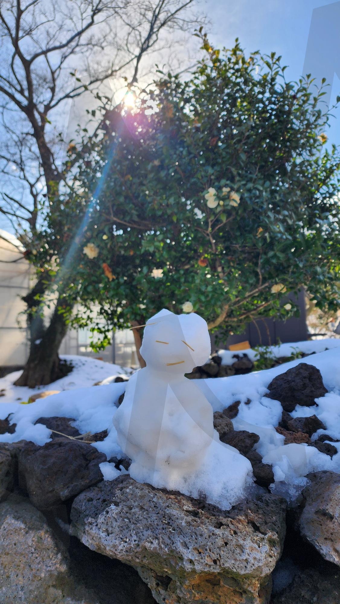 눈사람☃️ | 눈사람, 눈, 제주도, 제주, 길가다가, jeju, jeju, jejuisland, jeju island, snow, snowman, winter vibe, winter, jejutravel, travel, WinterInJeju, snowyday, Snowy, cute, cute snowman, 귀여운, 귀여운 눈사람, 겨울감성, 제주도여행, 소소한일상, 겨울사진, 제주도감성, 눈오는날, 감성사진, 일상기록, 힐링여행, cozy winter, cozy, foundart, travel photography, Street photography | 스탠바이 STANDBUY 디지털 콘텐츠