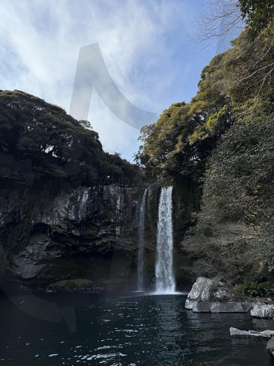 장엄한 자연의 아름다움, 제주 천지연 폭포의 웅장한 흐름 | 제주폭포, 자연경관, 웅장한자연, 힐링스팟, 감성사진, 여행지추천, 숲속풍경, 청정자연, 제주명소, 시원한풍경, 천지연폭포, 천지연 | 스탠바이 STANDBUY 디지털 콘텐츠