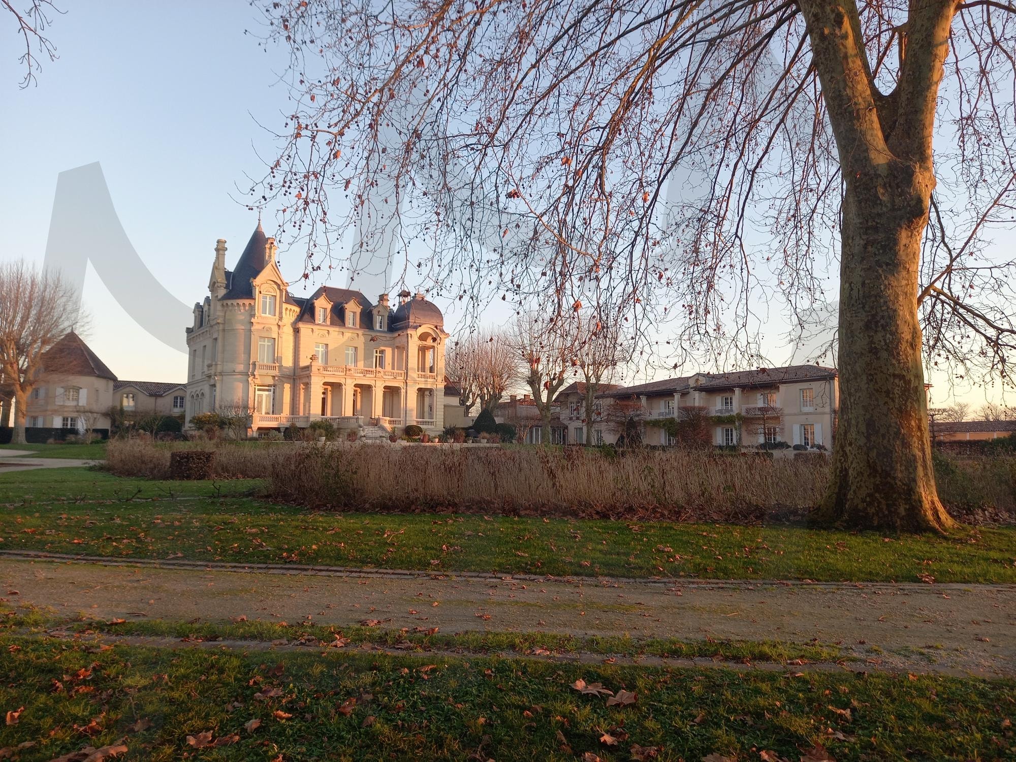 조화 | 프랑스, 파리근교, 보르도여행, 와인, 와이터리호텔 | 스탠바이 STANDBUY 디지털 콘텐츠