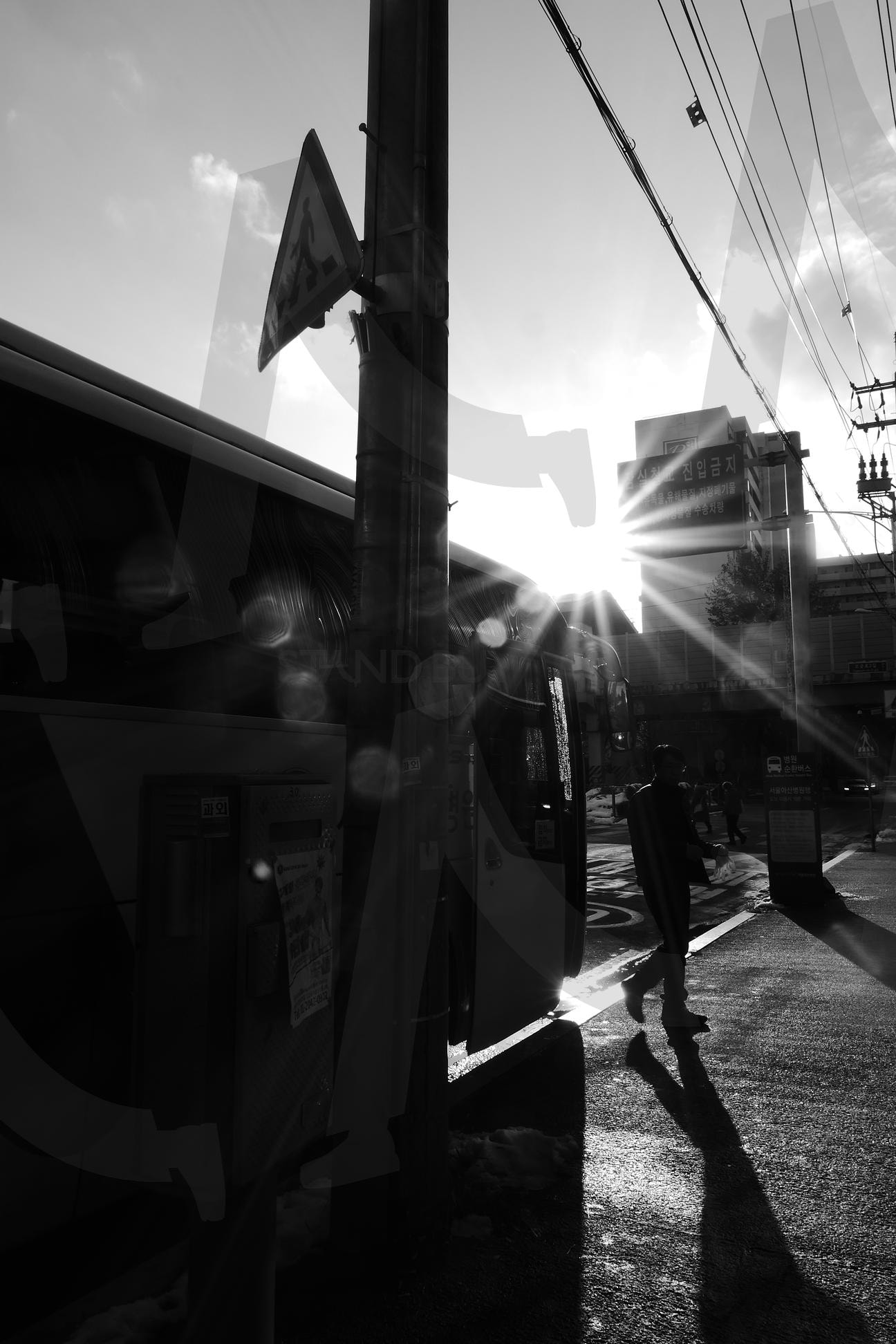 서울 seoul 흑백 사진 아산병원 셔틀버스 | 서울, 잠실, korea, seoul, 흑백사진, 아산병원, 셔틀버스 | 스탠바이 STANDBUY 디지털 콘텐츠