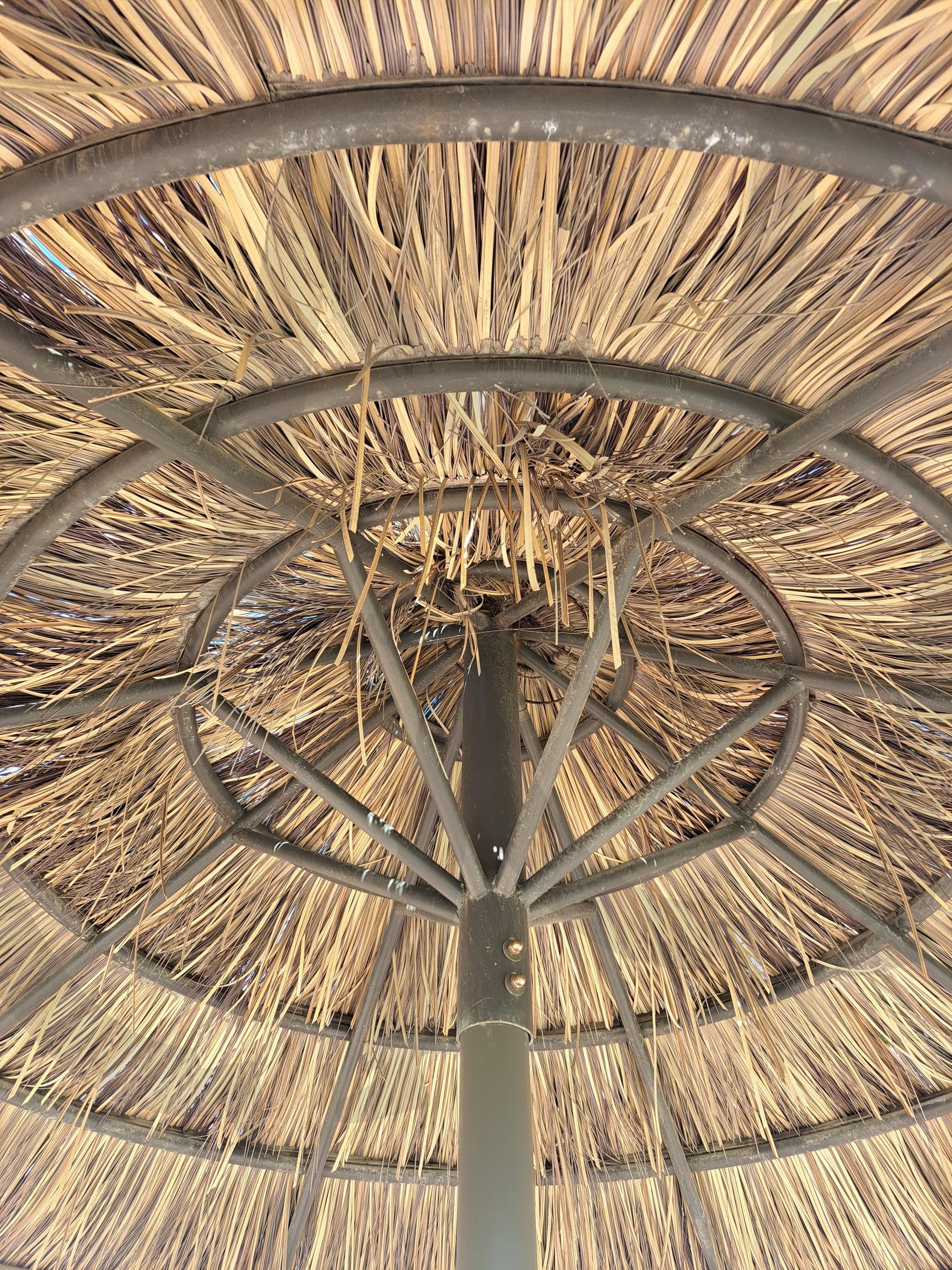 광안리해수욕장 | 부산광안리해수욕장, 광안리해수욕장, 해수욕장, 해변, 파라솔 | 스탠바이 STANDBUY 디지털 콘텐츠