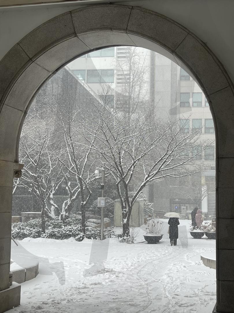 서울시립미술관 정문 설경 | 서울시립미술관, 서울, 정동, 서울정동, 덕수궁, 설경, 눈, 눈내리는날 | 스탠바이 STANDBUY 디지털 콘텐츠