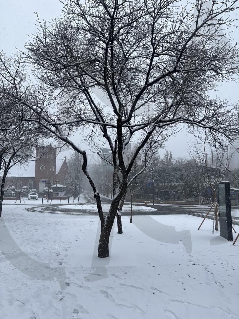 서울 설경 | 덕수궁, 덕수궁돌담길, 서울시립미술관, 설경, 눈, 눈내리는날, 나무, 서울시청 | 스탠바이 STANDBUY 디지털 콘텐츠