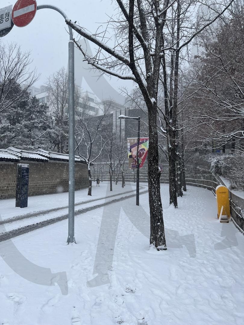 서울 정동 덕수궁 돌담길 설경 | 서울, 서울정동, 설경, 정동, 눈, 눈내리는날, 덕수궁, 덕수궁돌담길 | 스탠바이 STANDBUY 디지털 콘텐츠